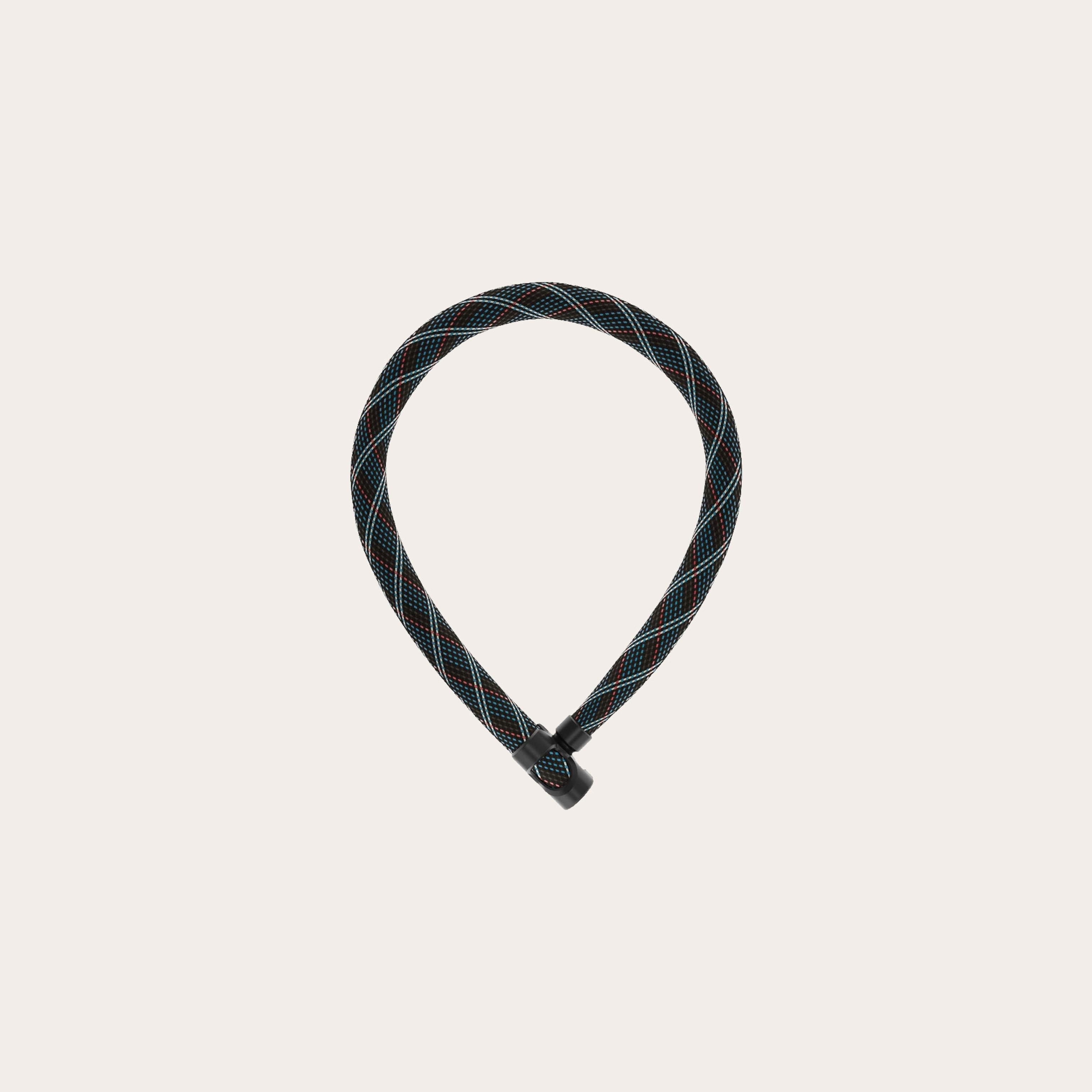 An image of a bike lock.