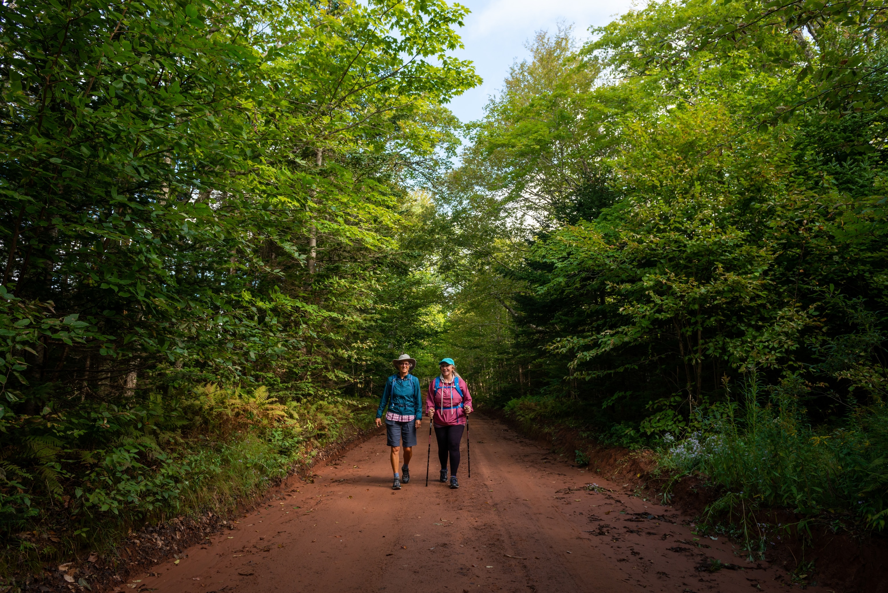 Two people walk on a trail through the forest