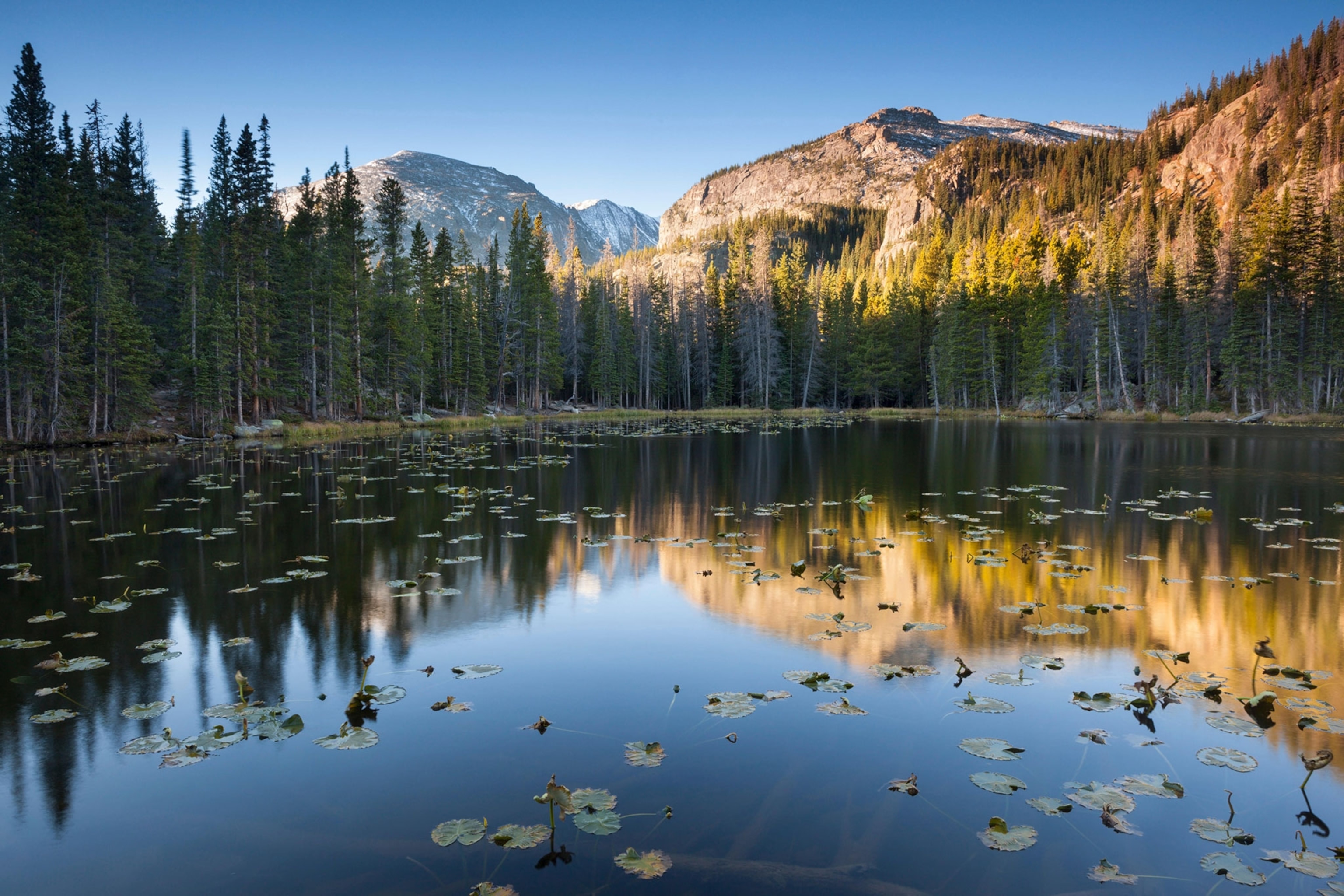 a still lake surrounded by trees with mountains in the background