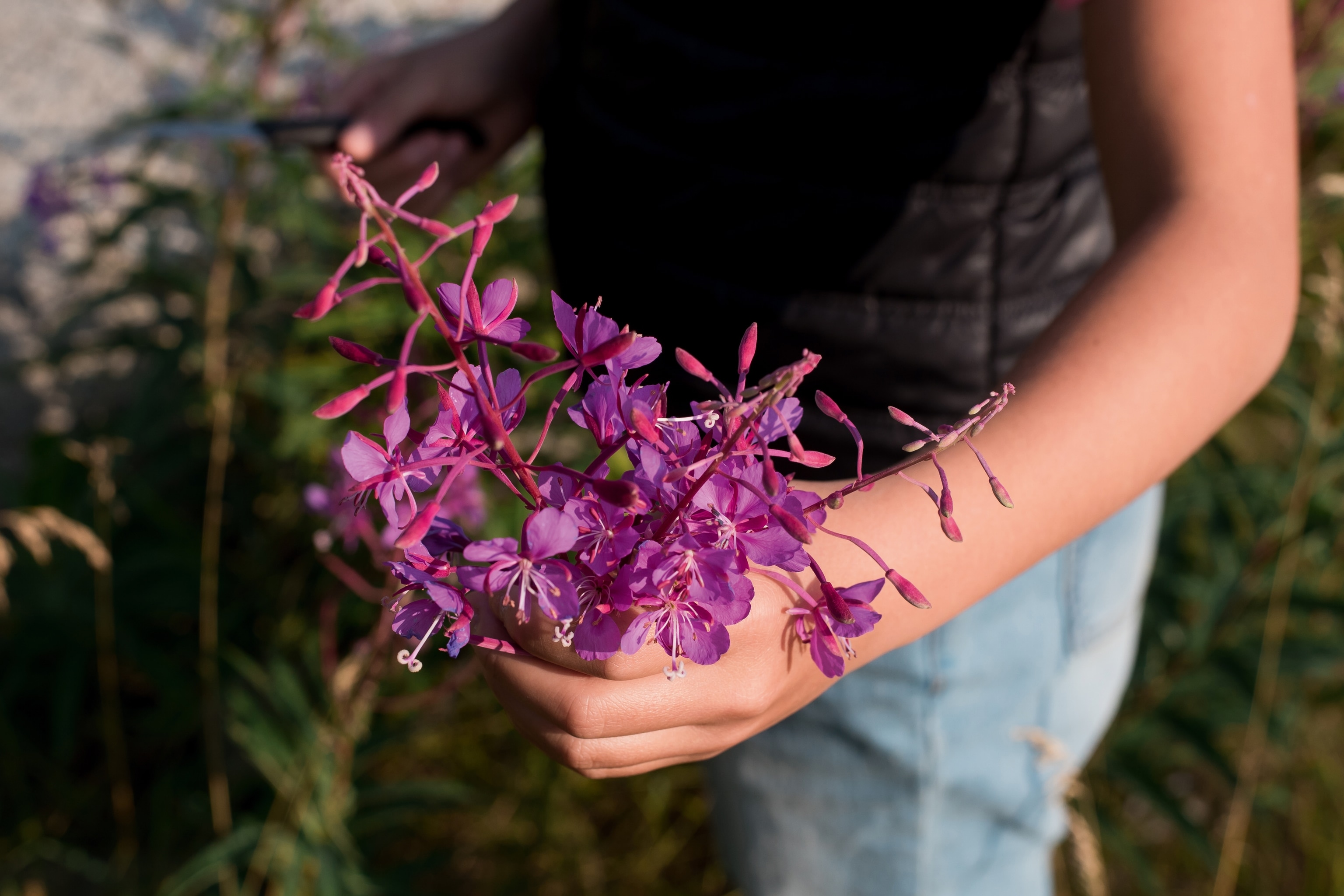 A woman cupping flowers.