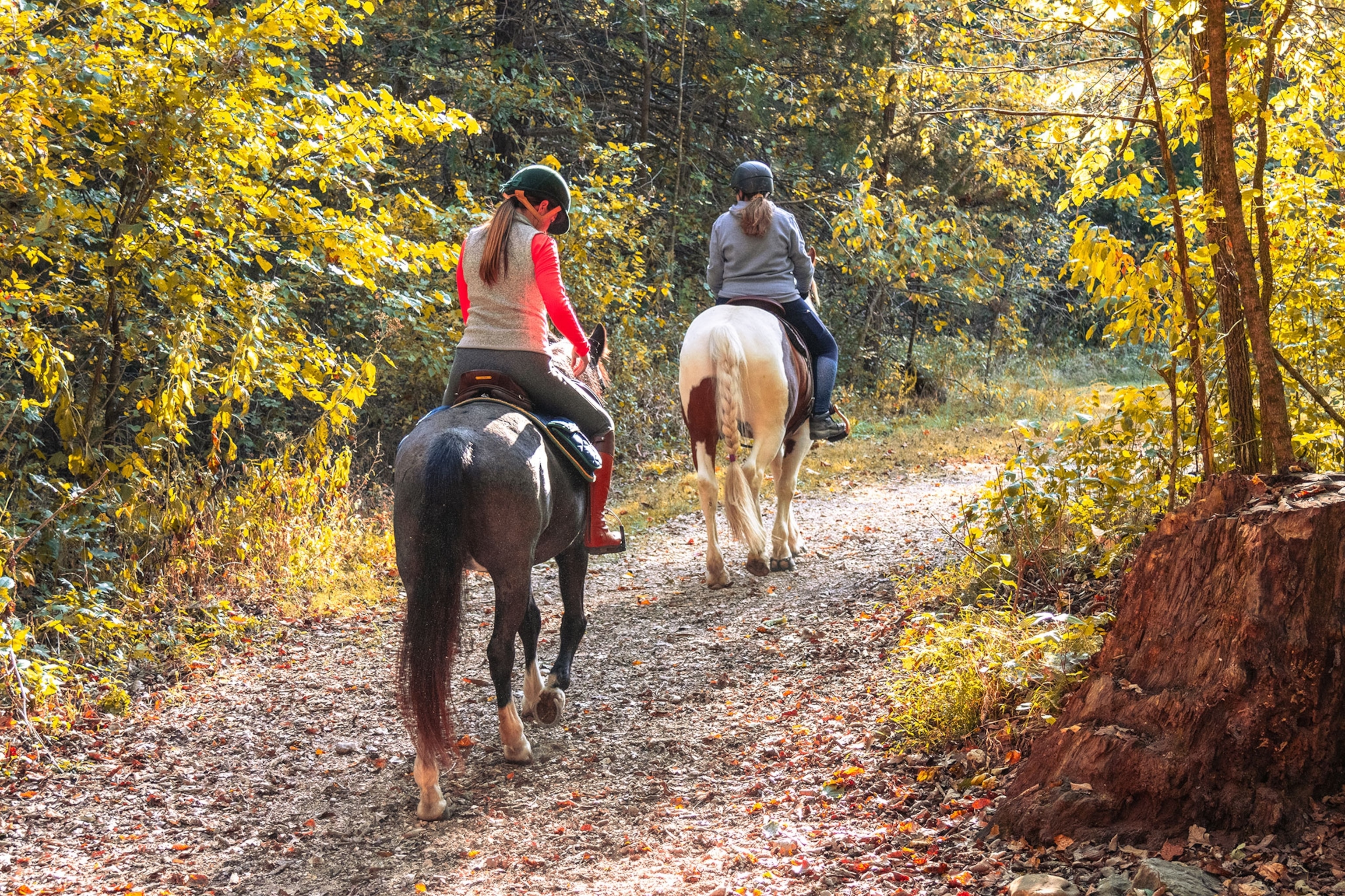 People riding horses in Busiek State Forest and Wildlife Area in Christian County, Missouri