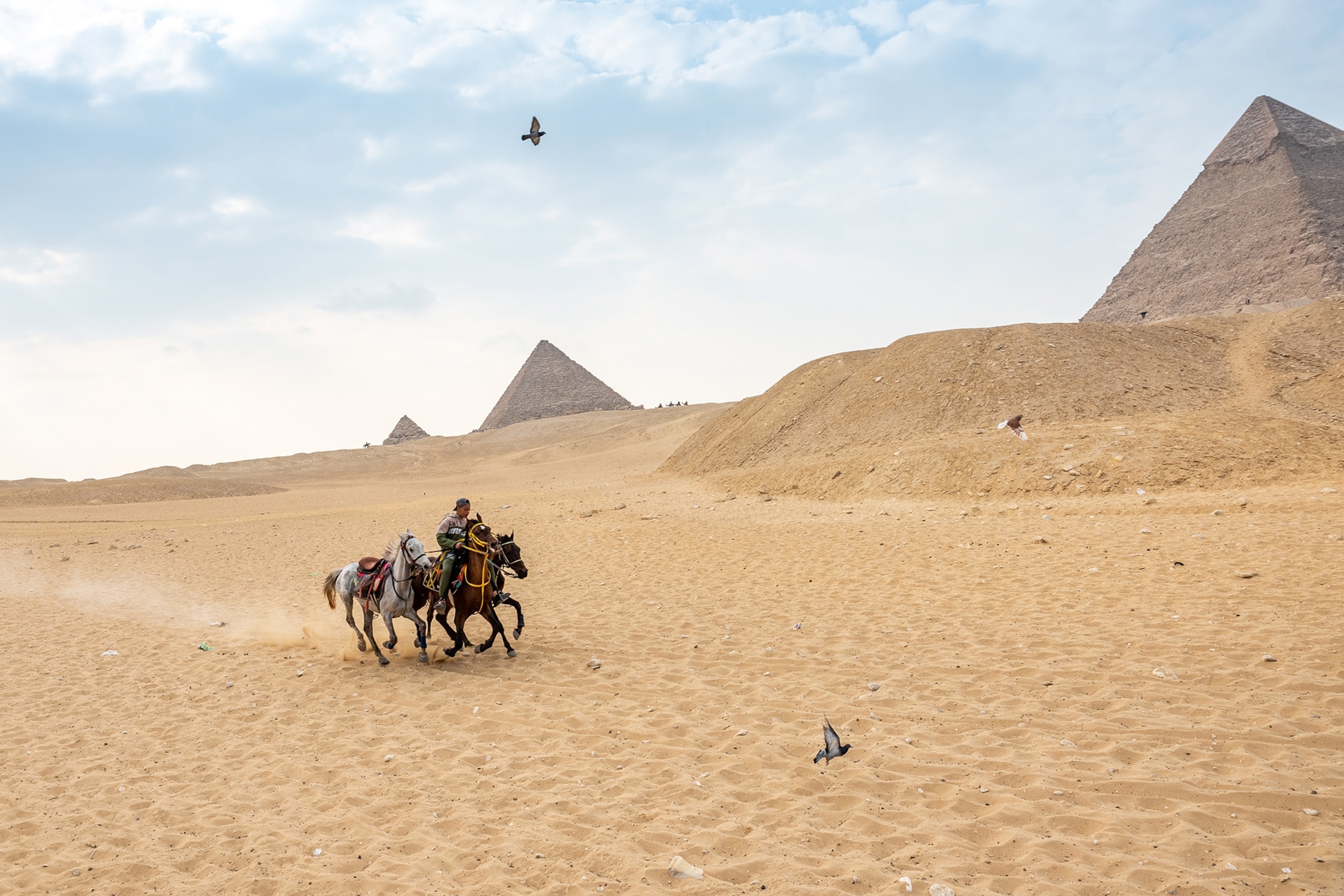 horseback riding in the desert