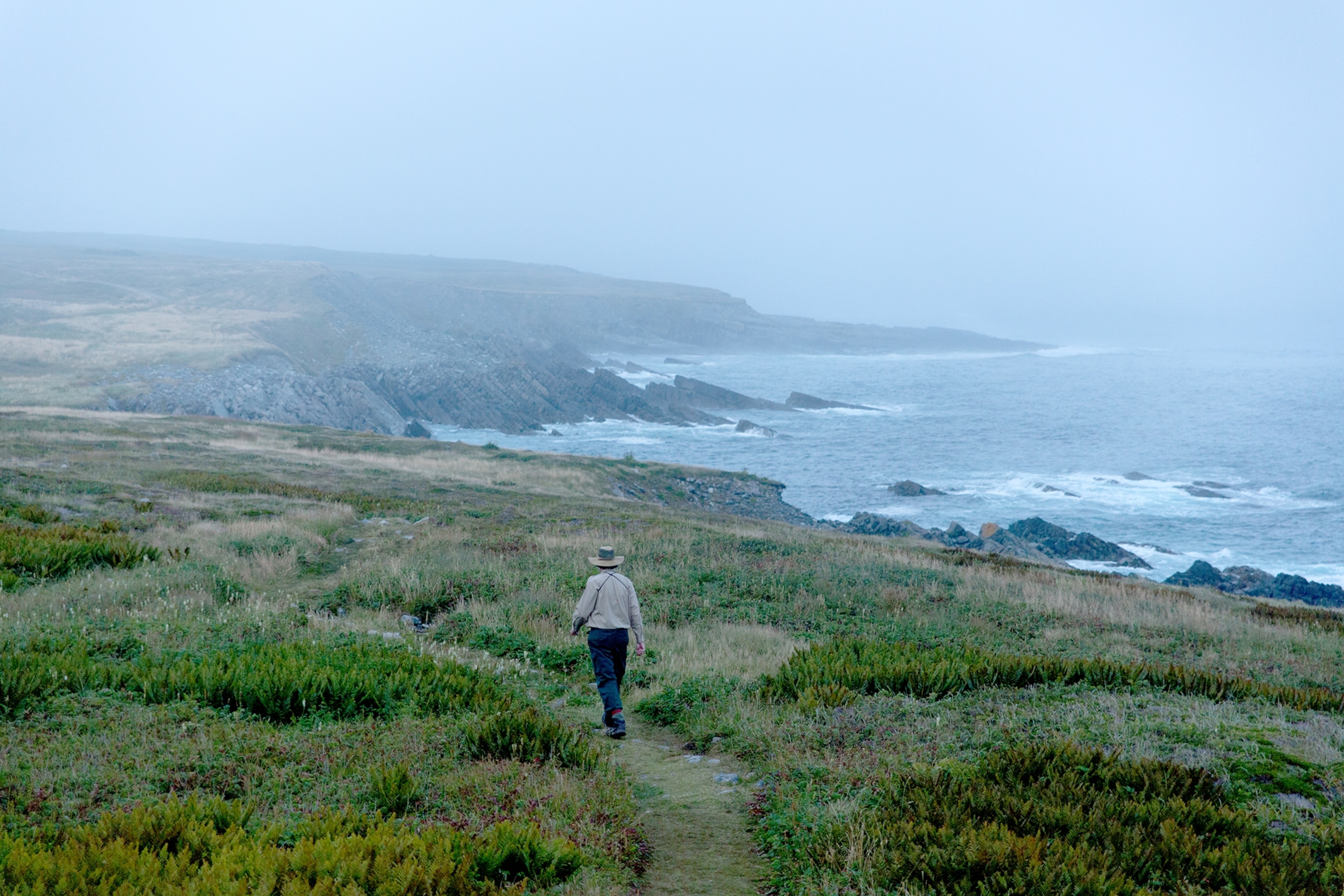 of Mistaken Point Ecological Reserve in Newfoundland, Canada