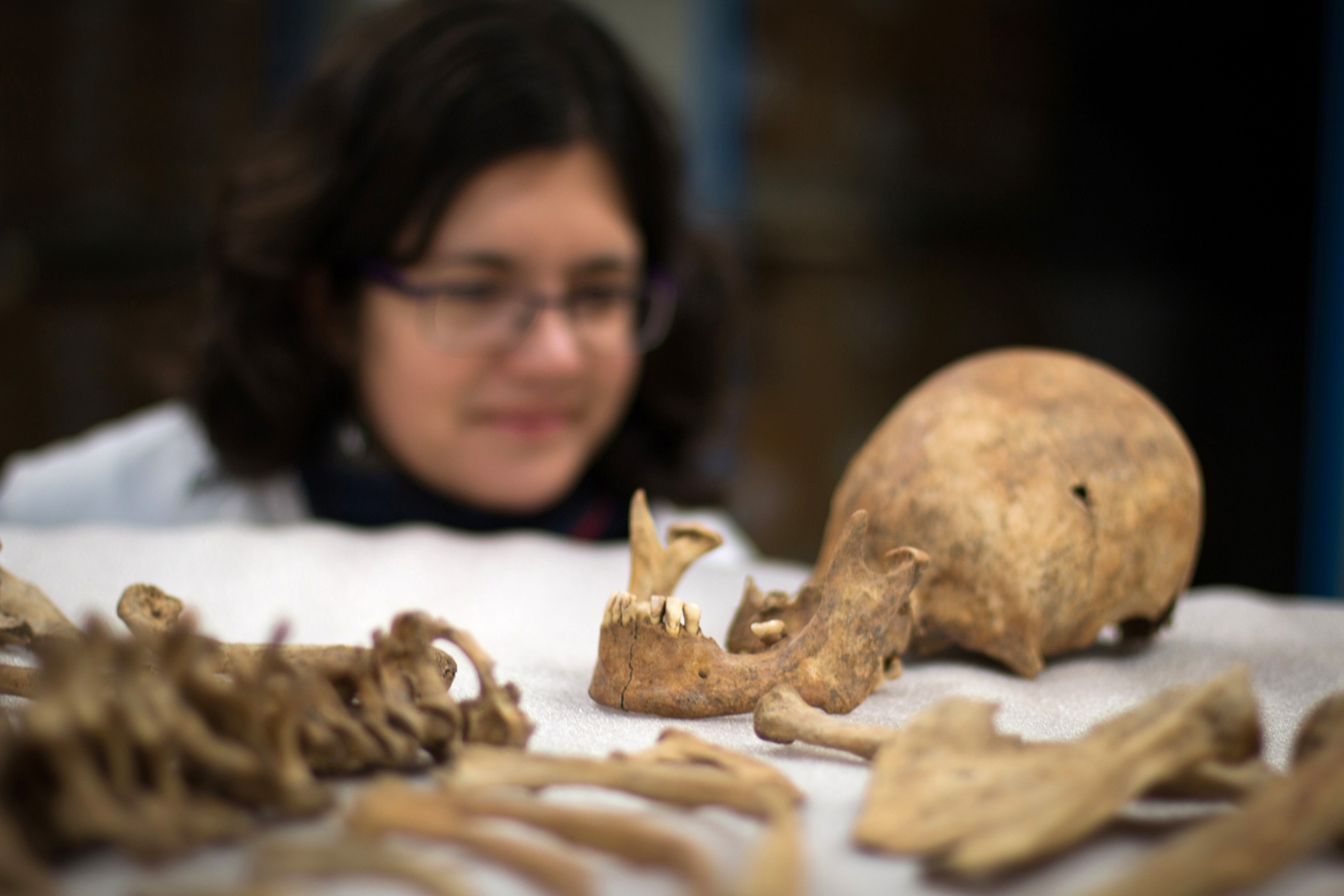 skull of one of Roman-age skeletons discovered at Driffield Terrace in York
