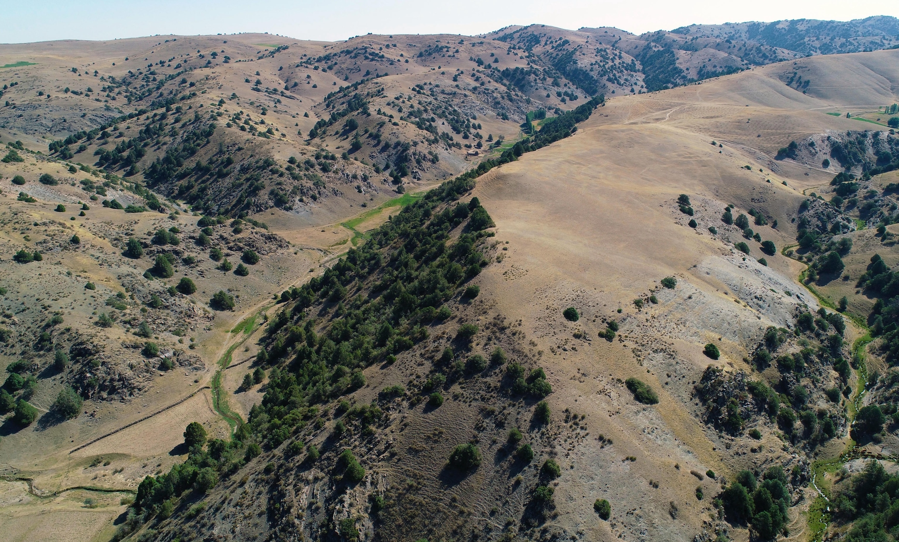 An aerial photo of a mountain range sparsely dotted with green shrubbery.