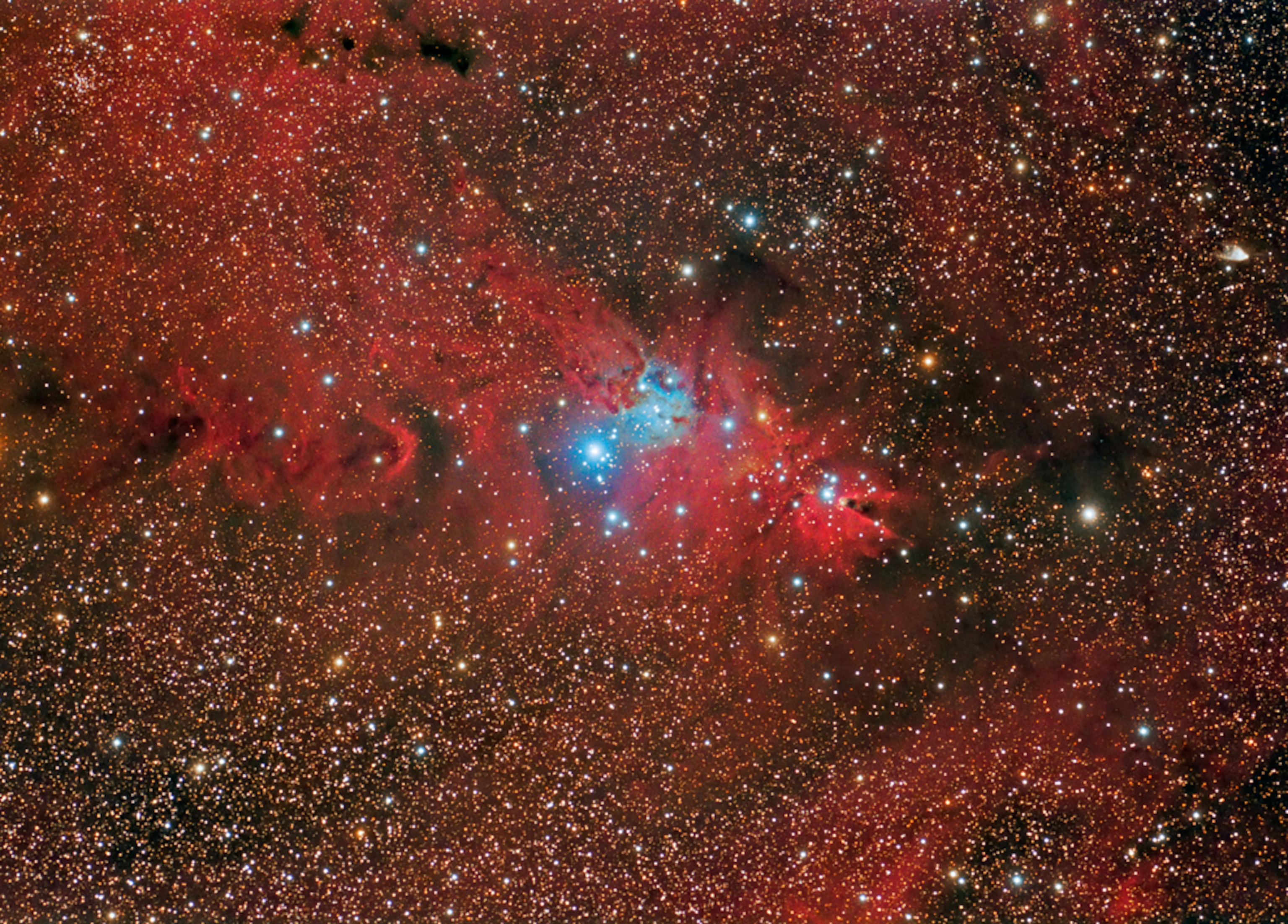 Stars picture: the Christmas Tree star cluster and Cone Nebula