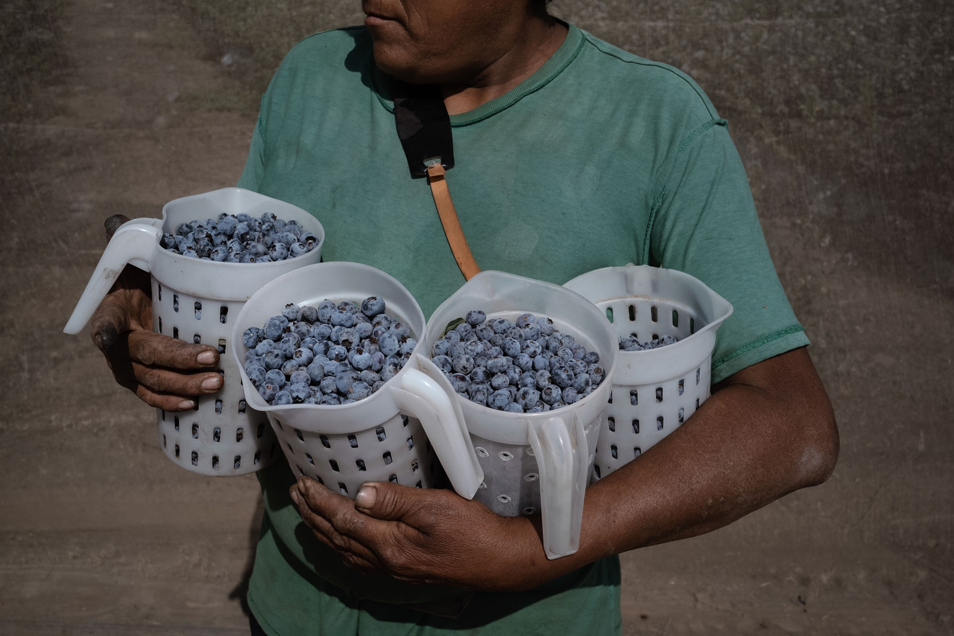A man holding four pitchers full of blueberries.