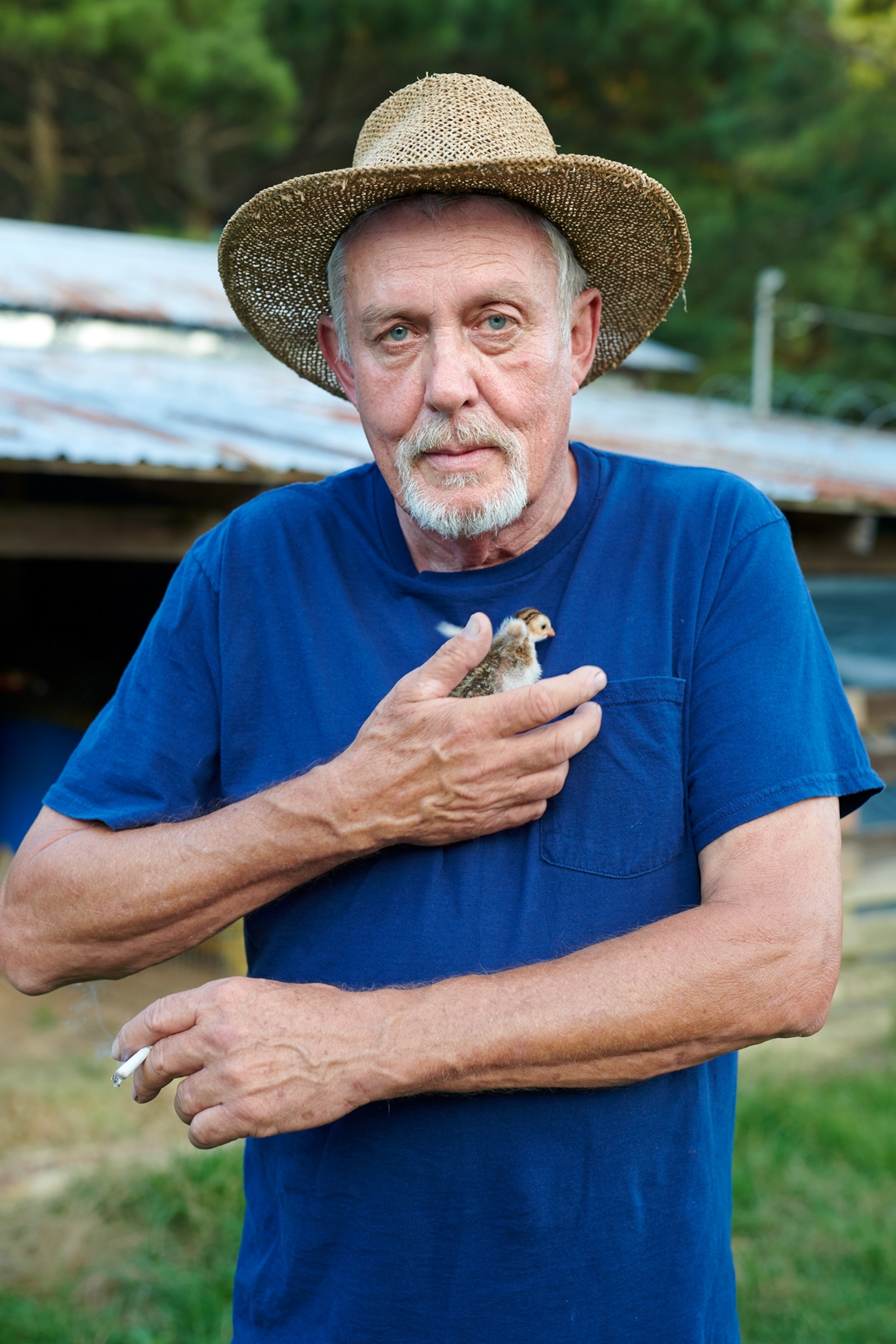 a man in blue t-shirt and straw hat holding a little chick on his chest.