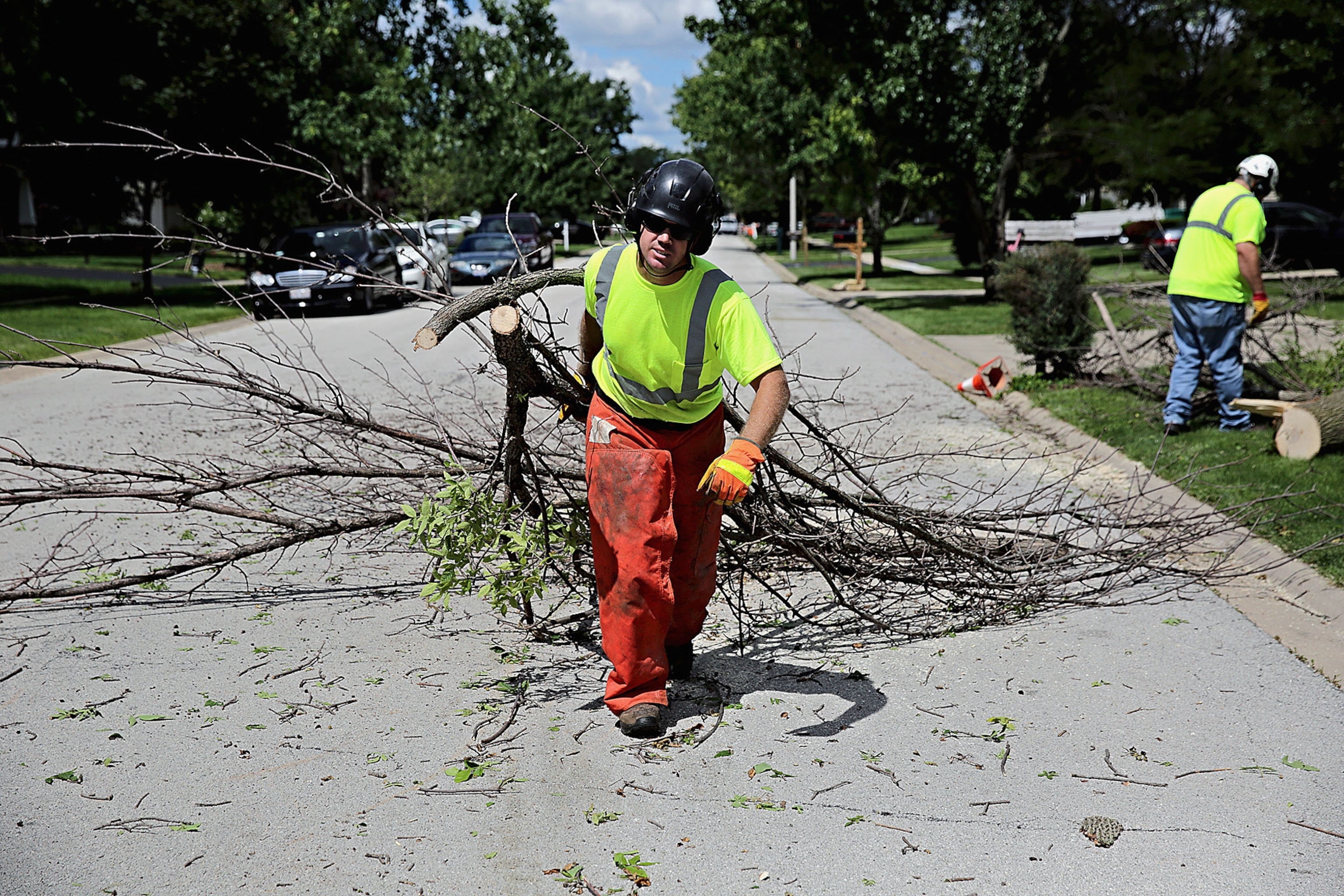 public works employee Brian Fahnstrom dragging a limb from an ash tree to a wood chipper after the tree was removed from the front yard of a house.