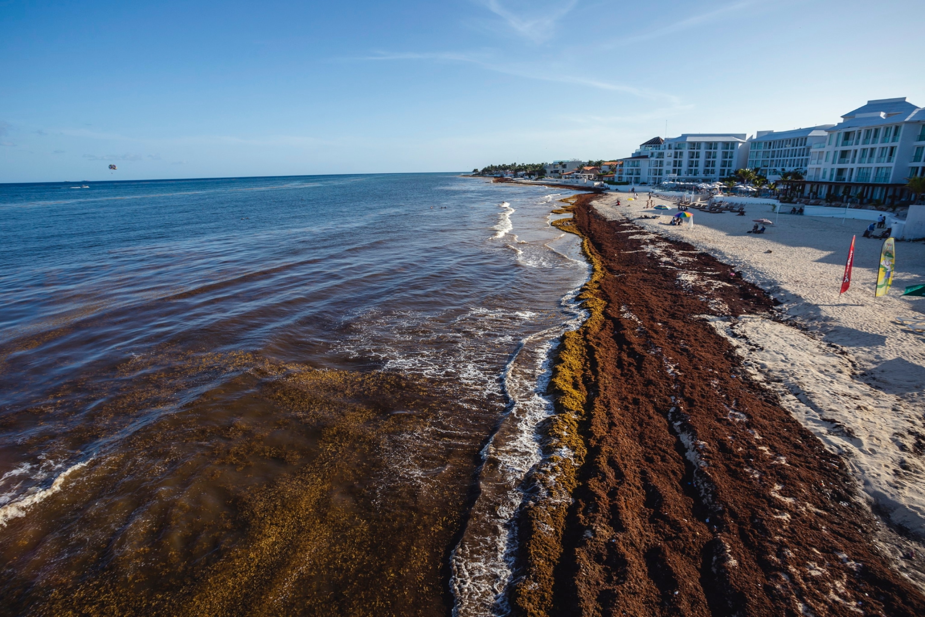 Aerial view of masses of seaweed on a beach resort