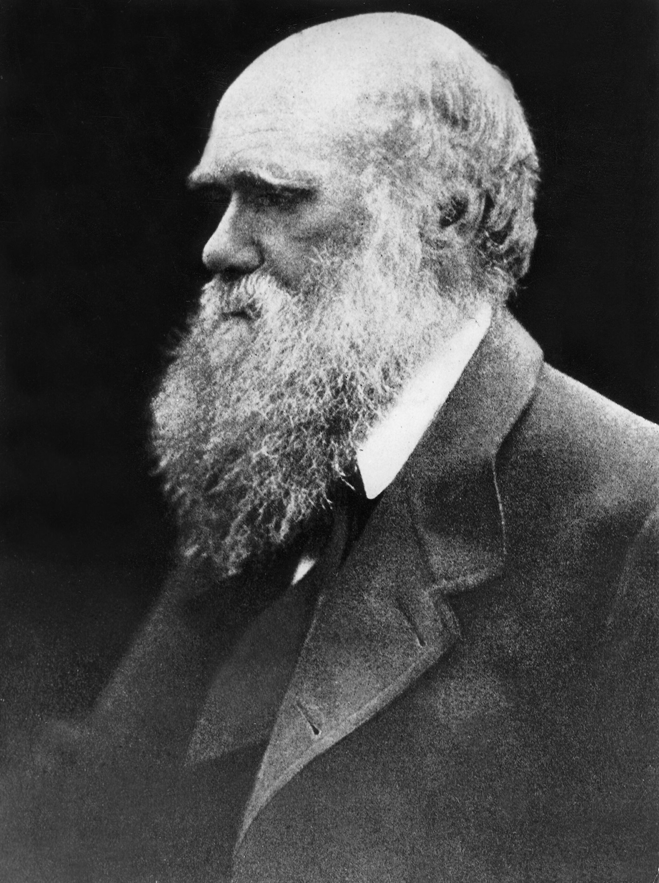 Charles Darwin