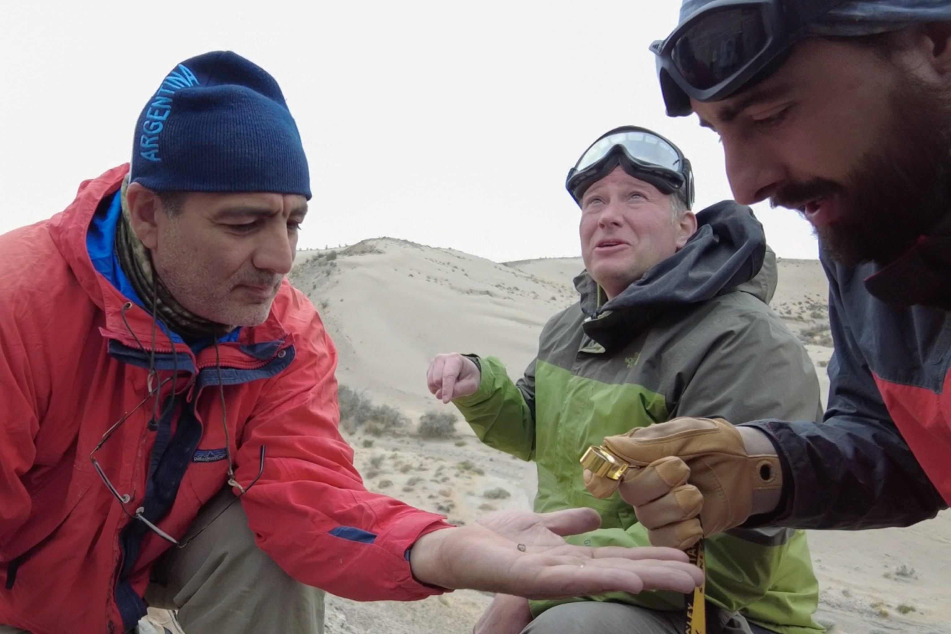 A man in a red jacket holds out his hand, showing the fossilized tooth of a mammal, as another man examines it with a small magnifying glass.