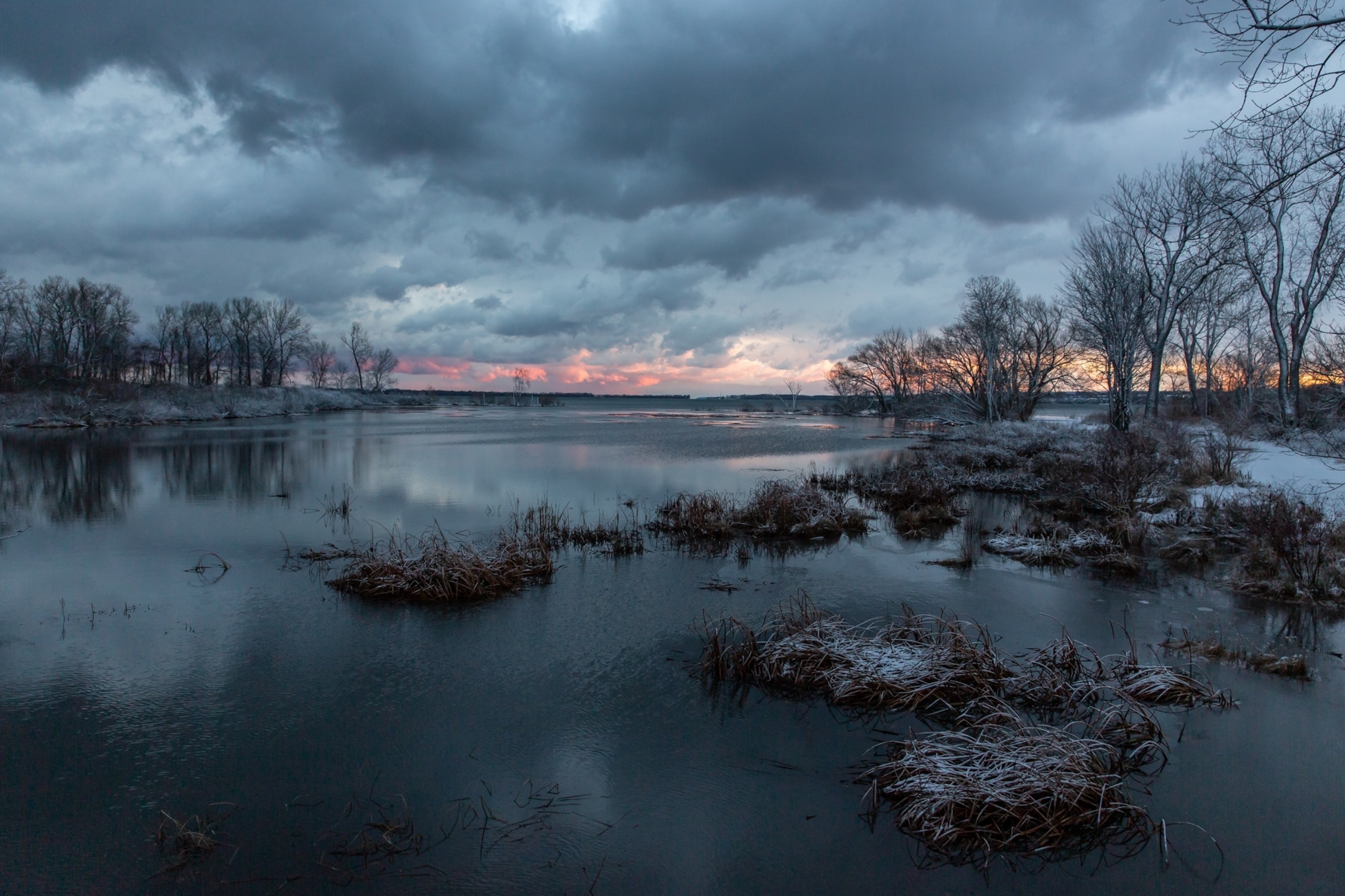 a lake and dead winter trees at dusk