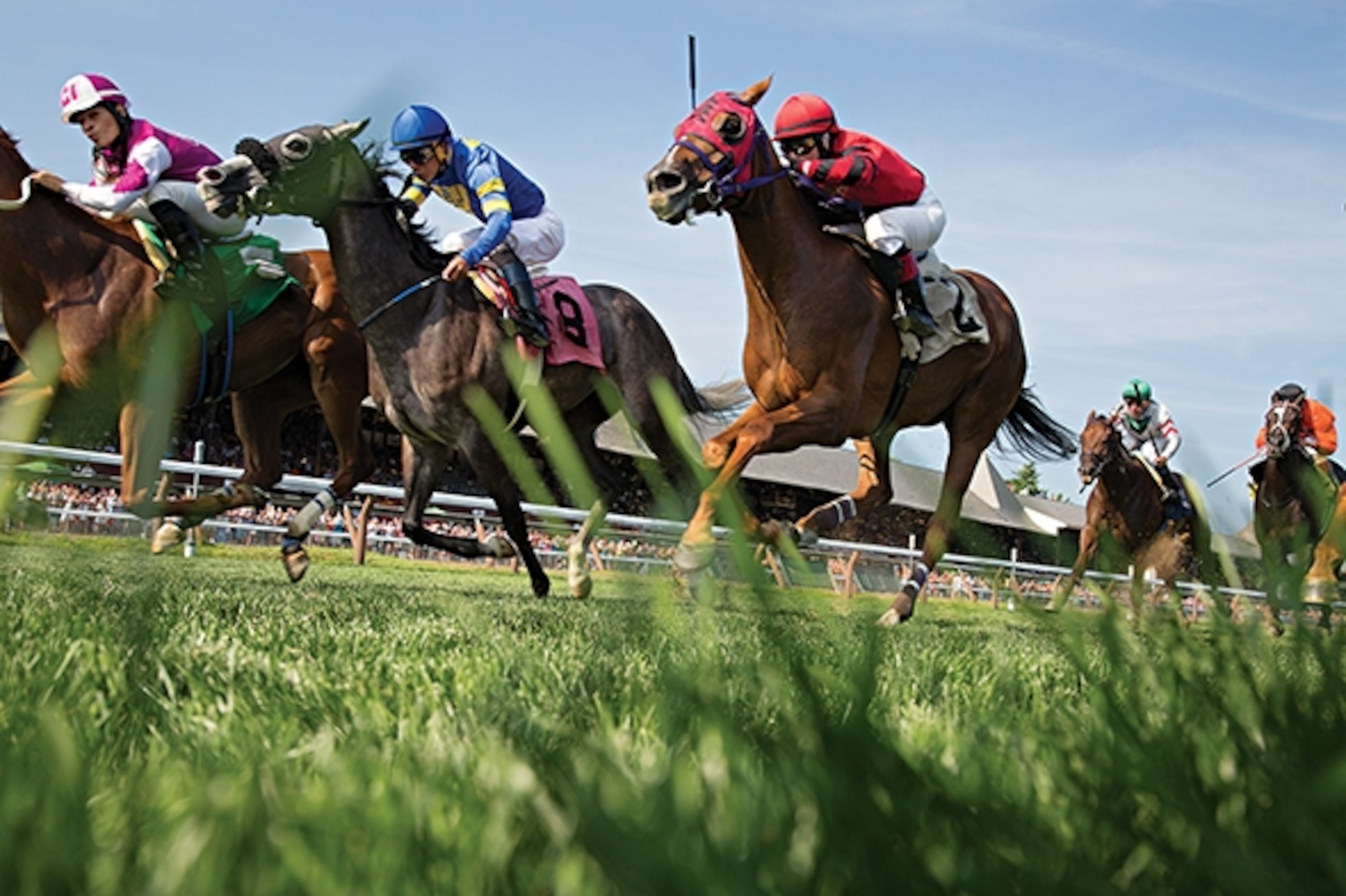 Horses are off and running at Travers Stakes weekend, climax of the season. (Photograph by Matt Moyer and Amy Toensing)