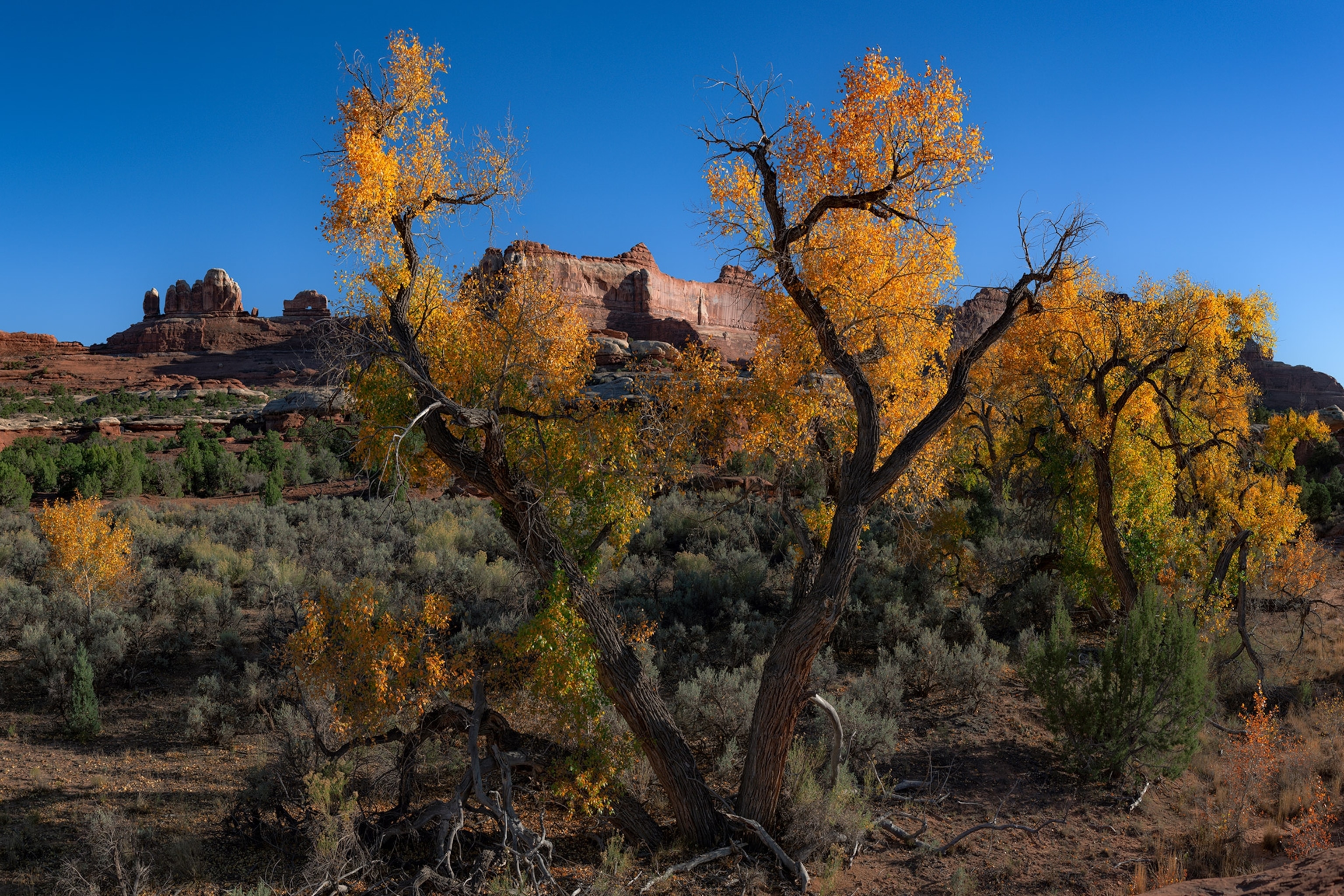 rock formations in Wooden shoe Arch, Canyonlands National Park in Utah