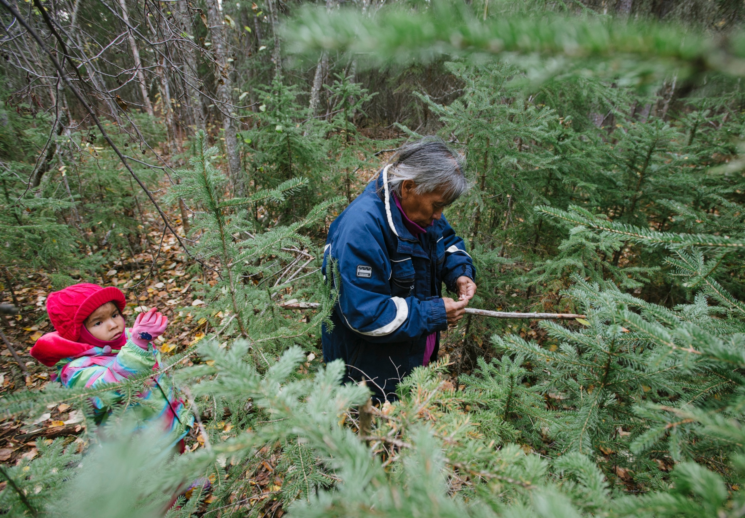 Grandmother and granddaughter harvests plants and berries.