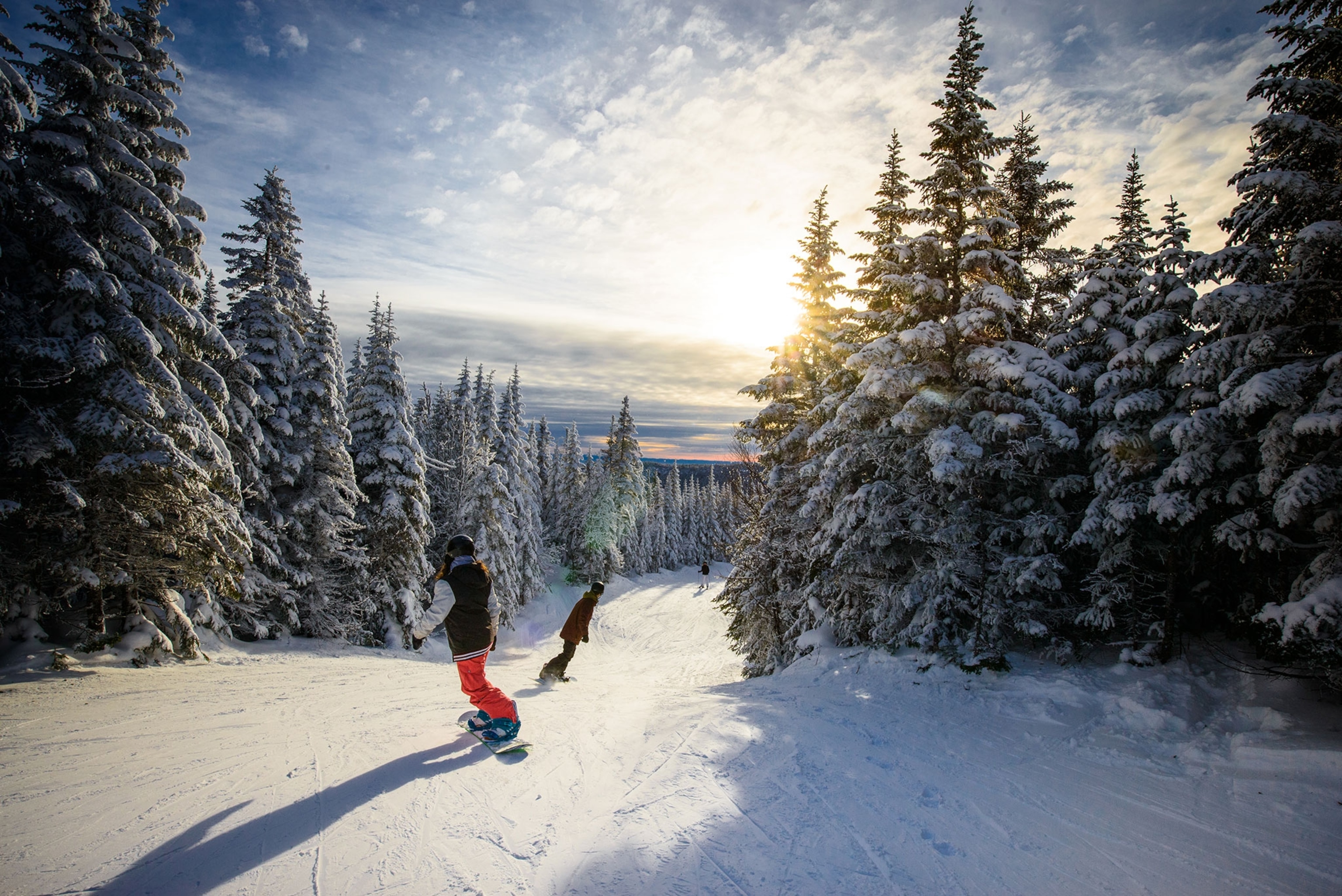 Two young adults, snowboard down a mountain in between a path of tall, snow covered pine trees