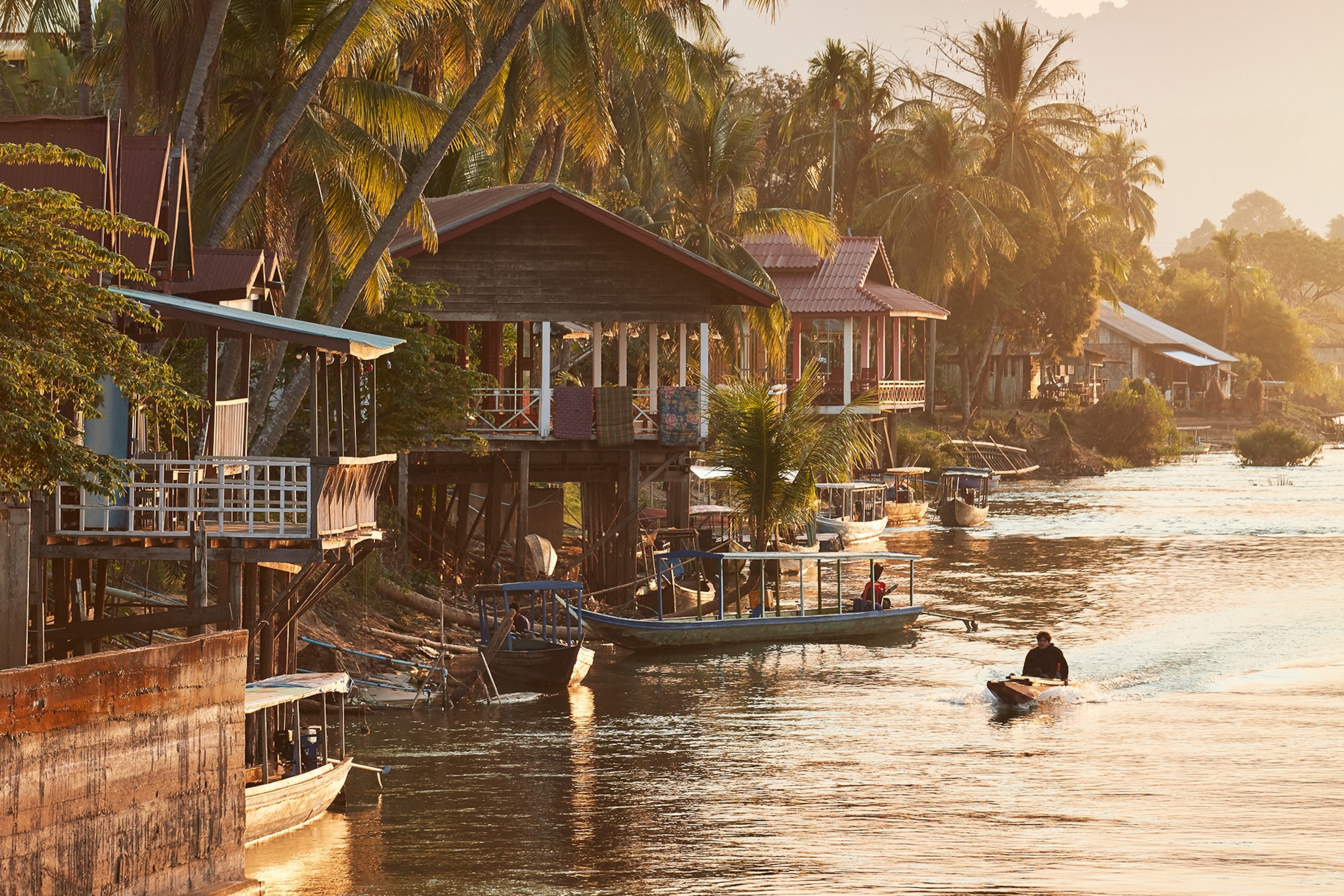Houses along the river tucked between palm trees and people in boats on the river.