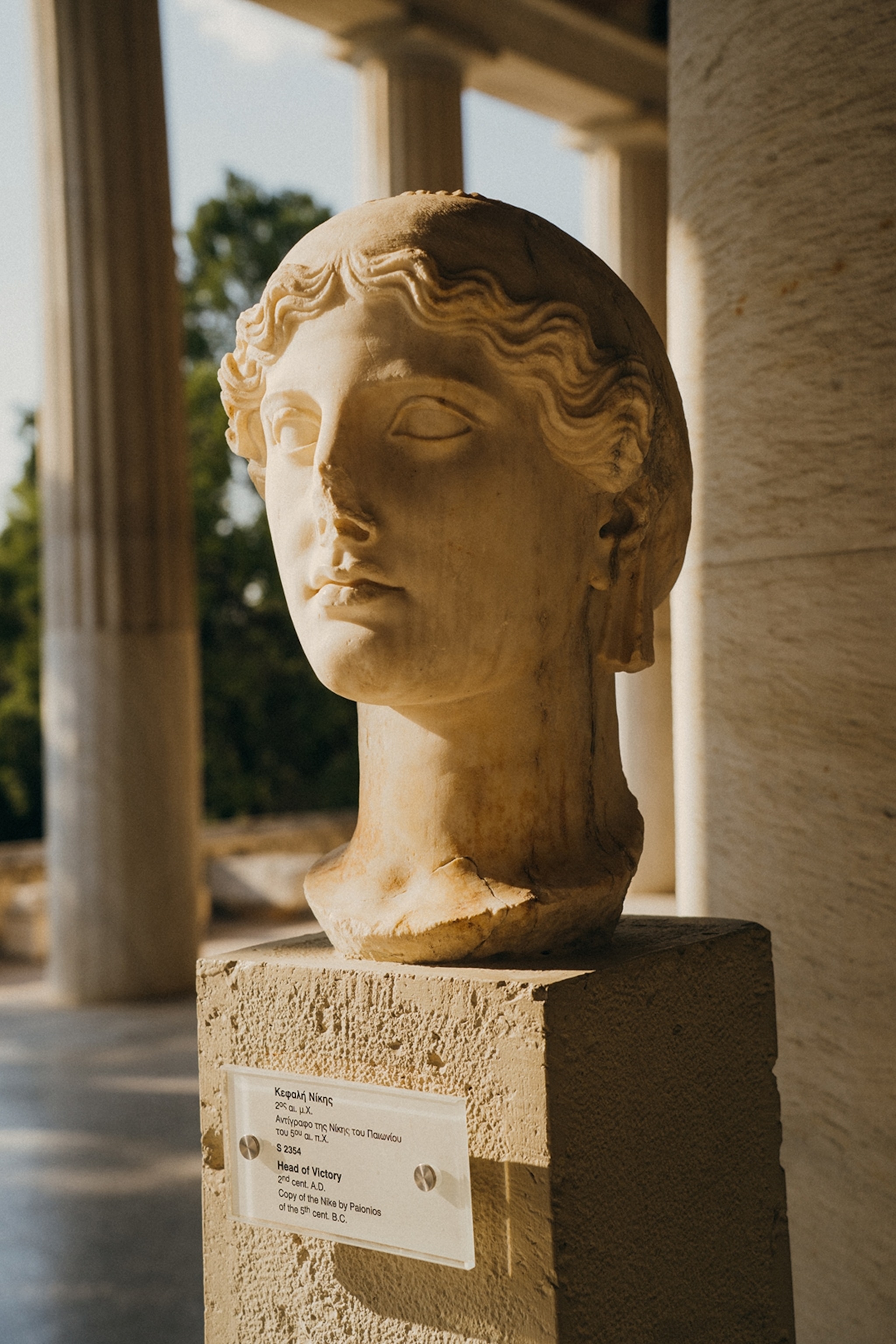 Statue of a stone head fixed on a podium