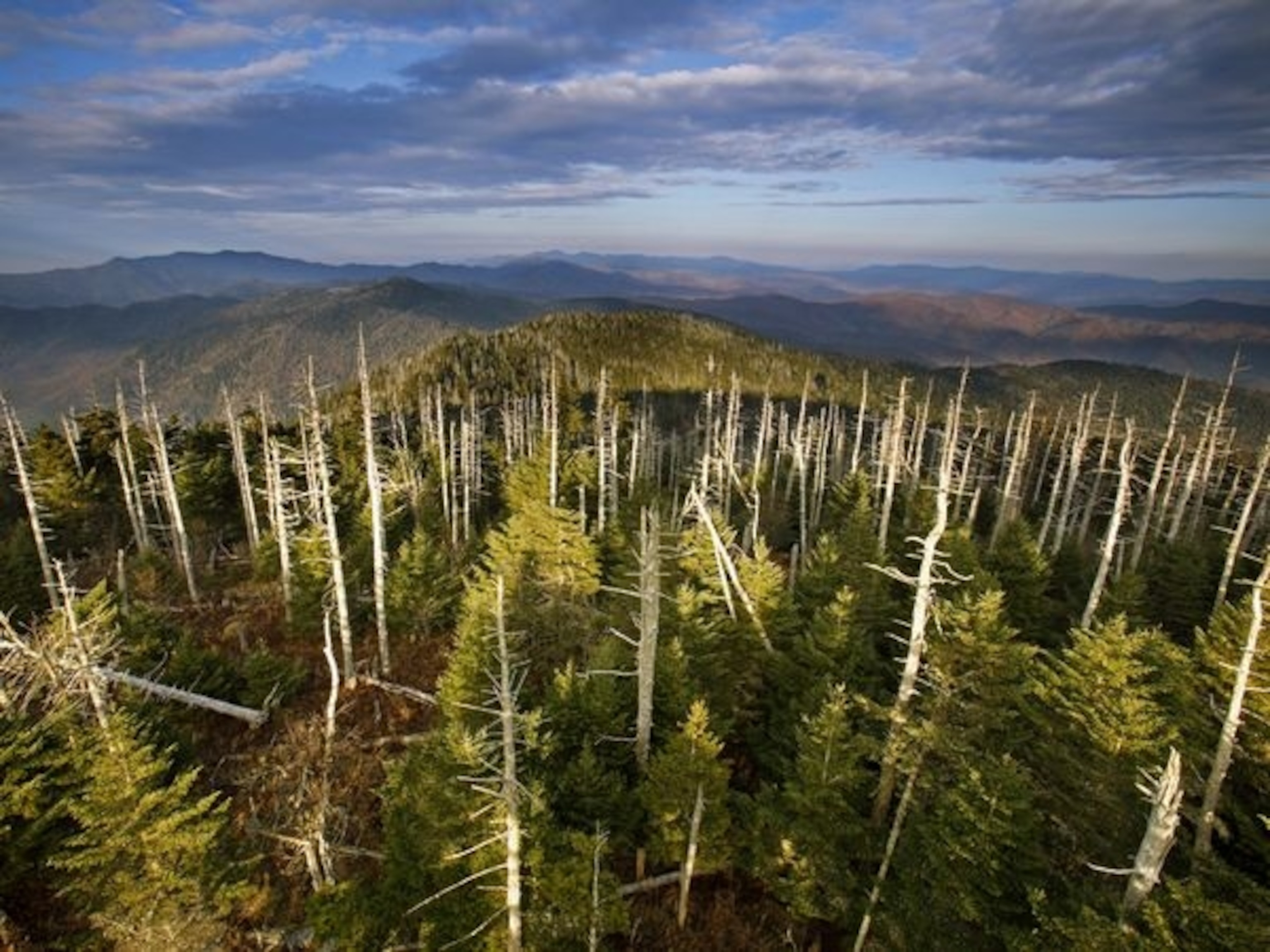 Great Smoky Mountains National Park