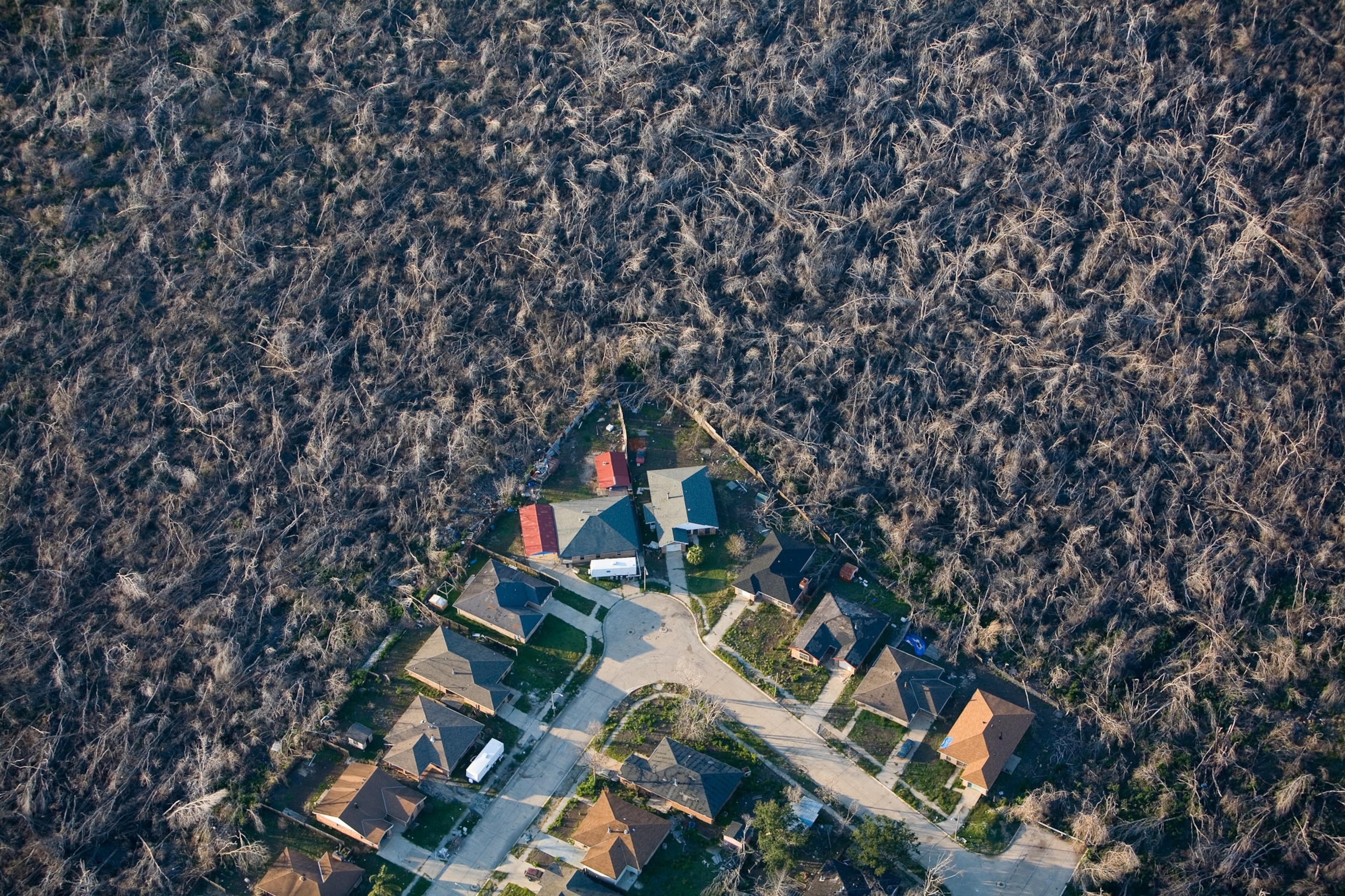 An entire area of trees have fallen showing a clear line between the neighborhood and the raised land.
