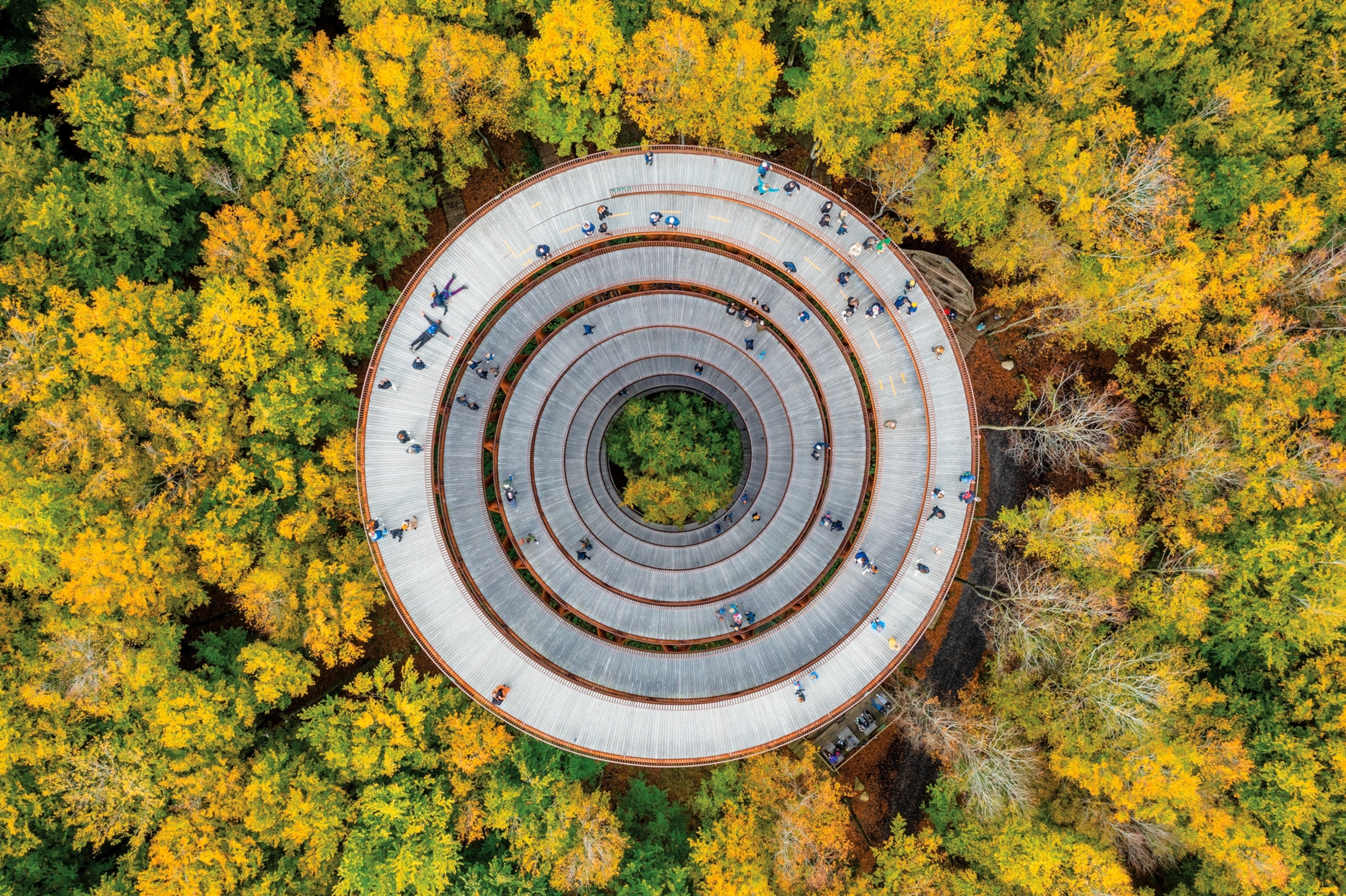 Picture of aerial photograph of the 45m high Forest Tower.