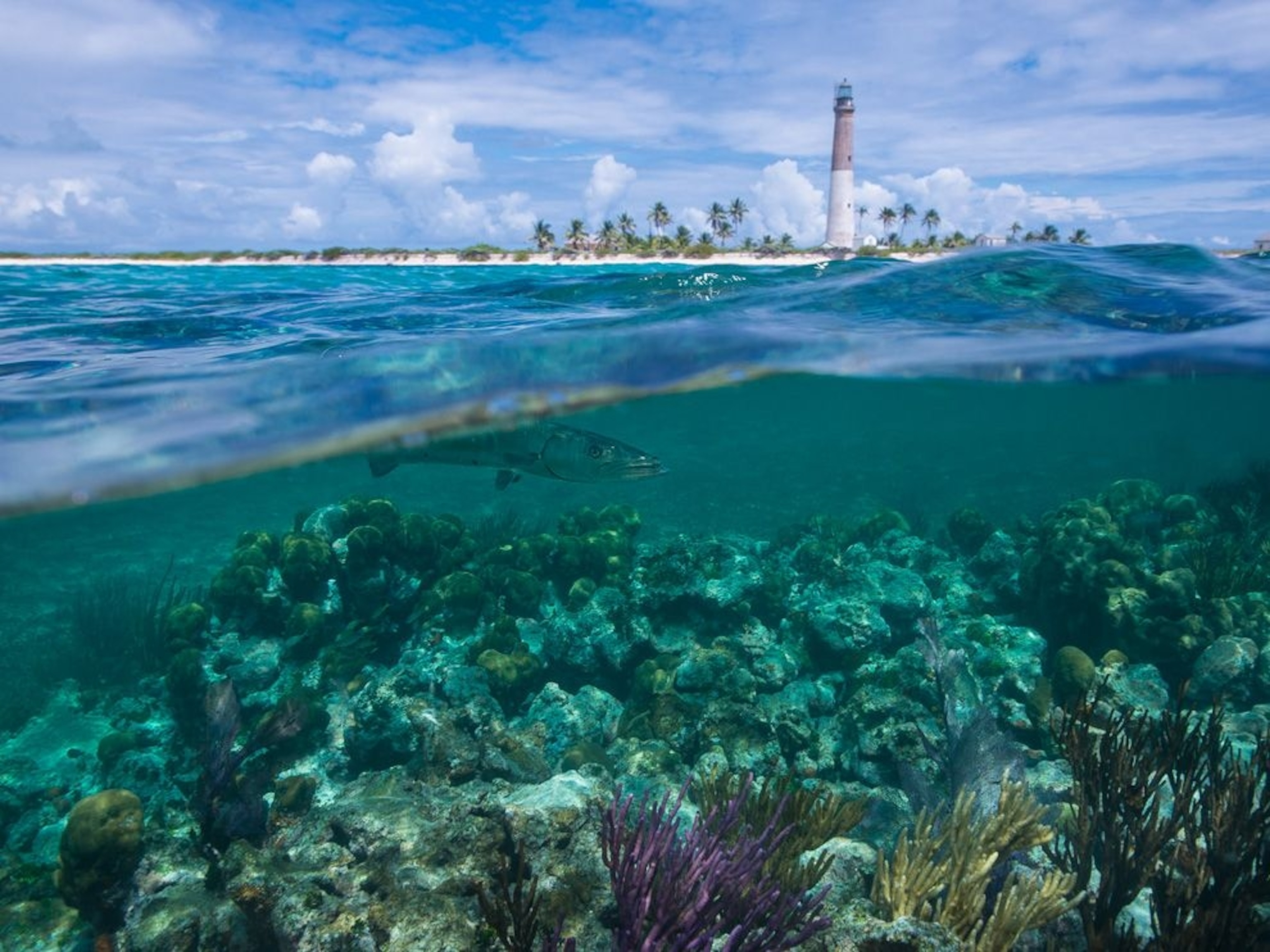 Loggerhead Key