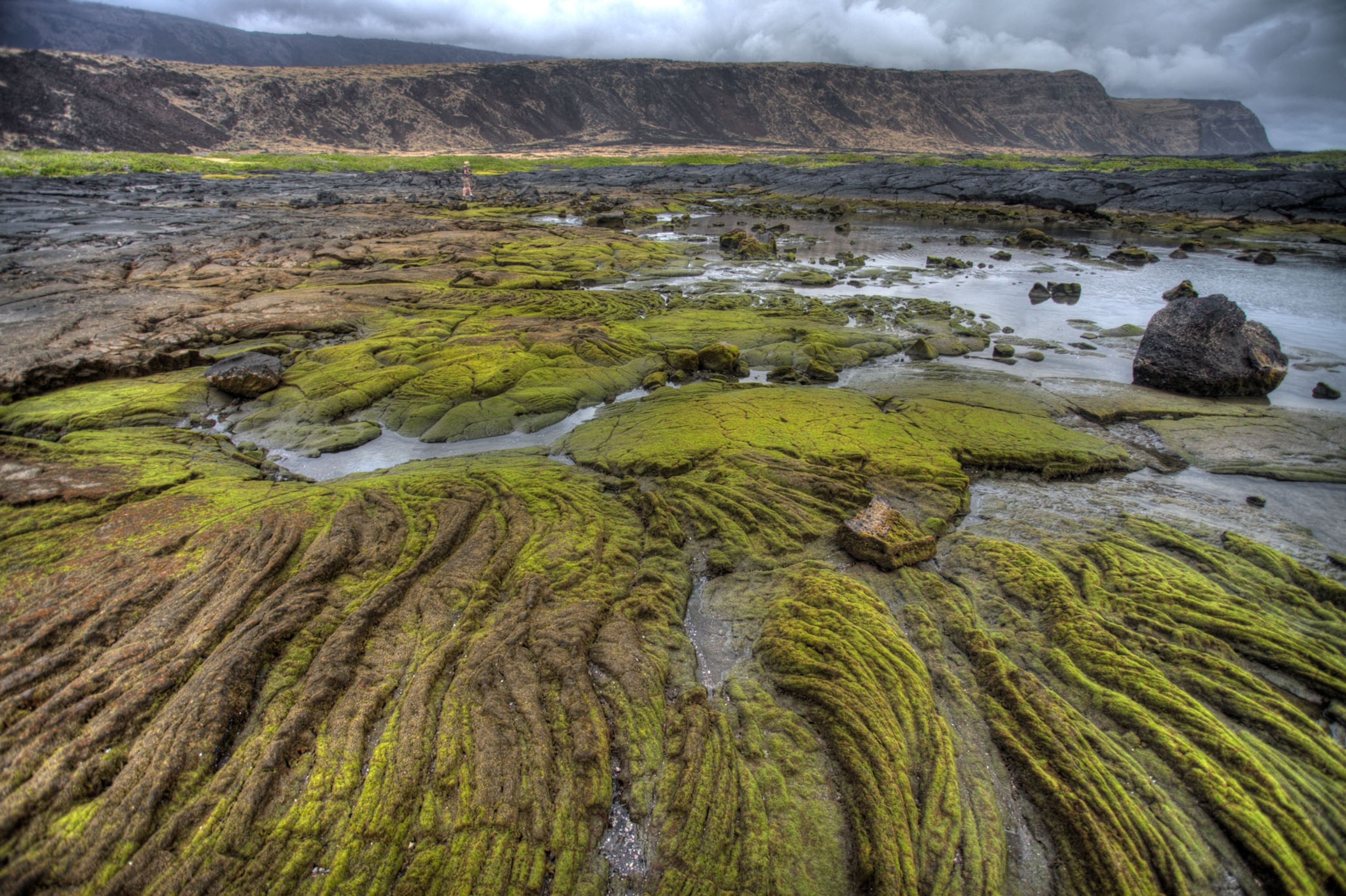 tide pools in Hawaii Volcanoes National Park, Hawaii