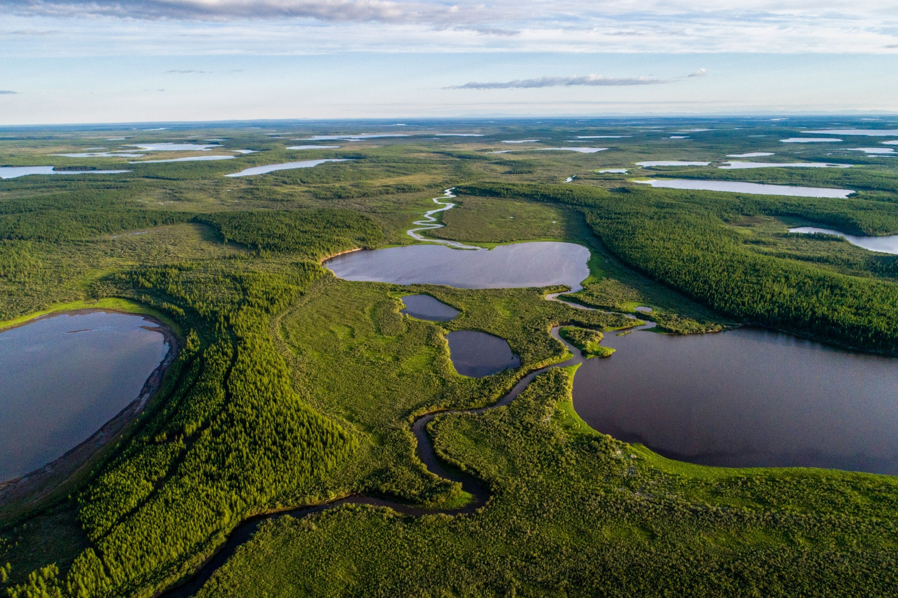Aerial view of Pleistocene Park. Lush green ground with big blue lakes.