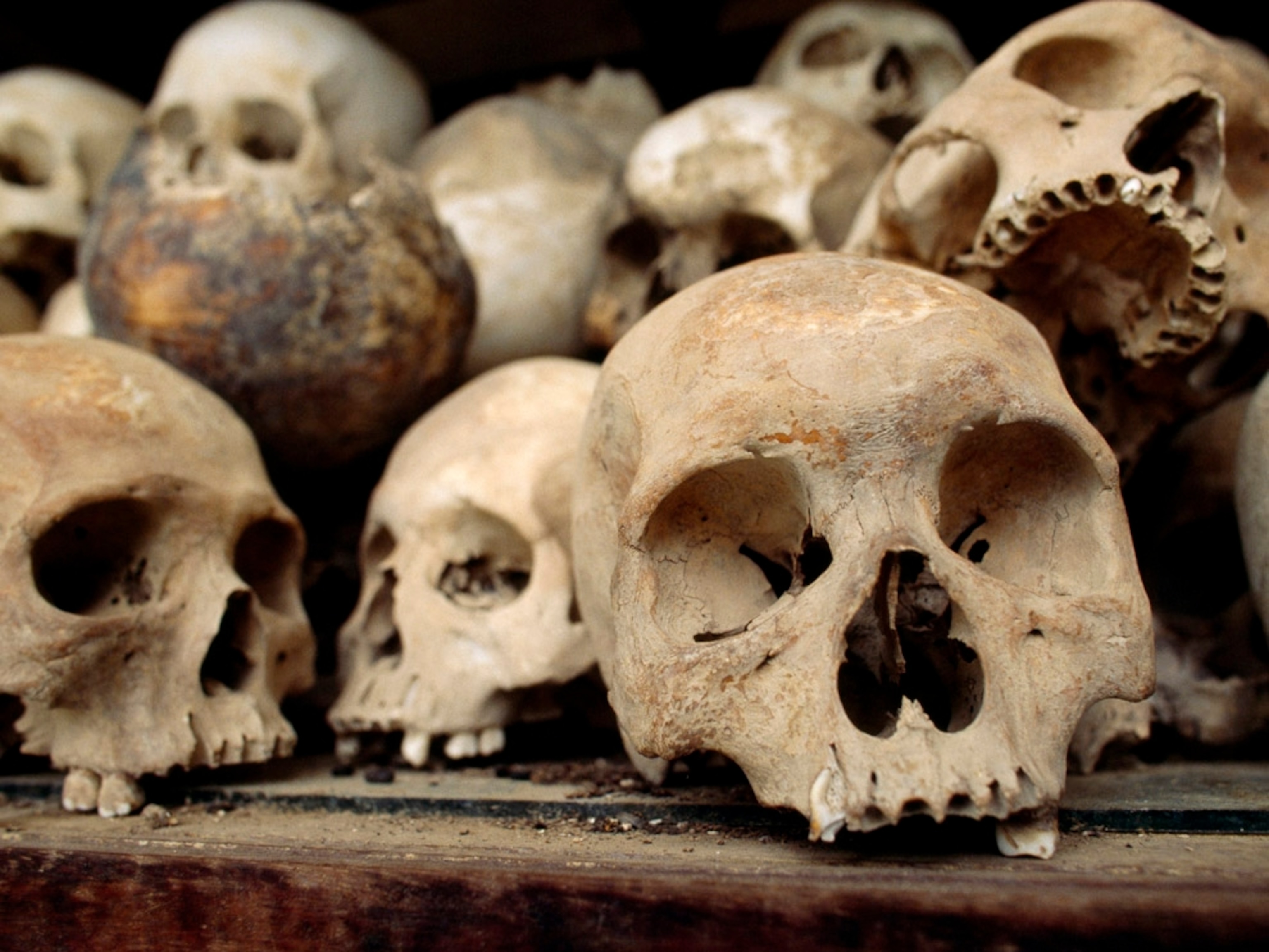 Skulls From the Killing Fields