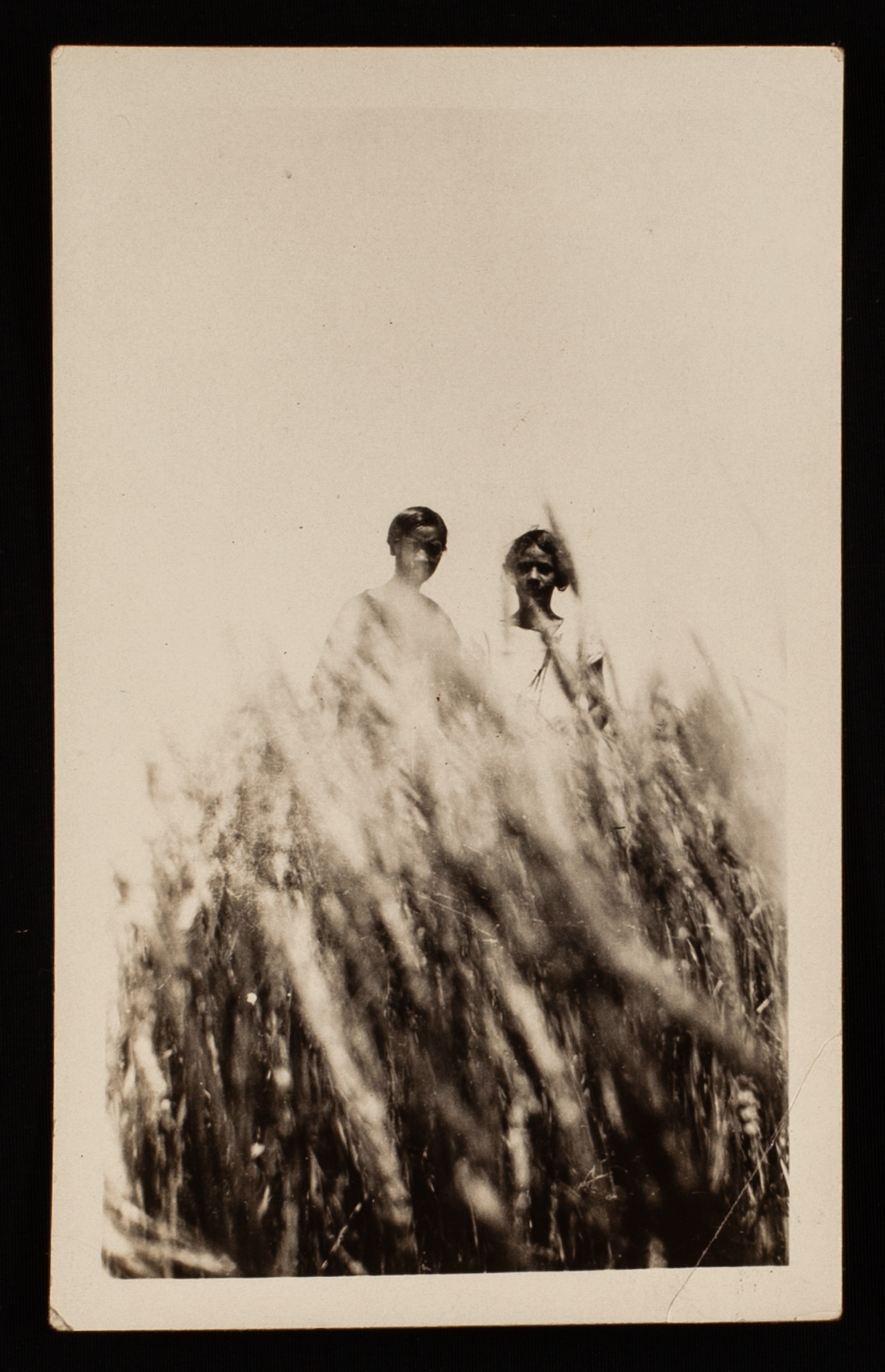 Two young girls are faces partially obscured by brush.