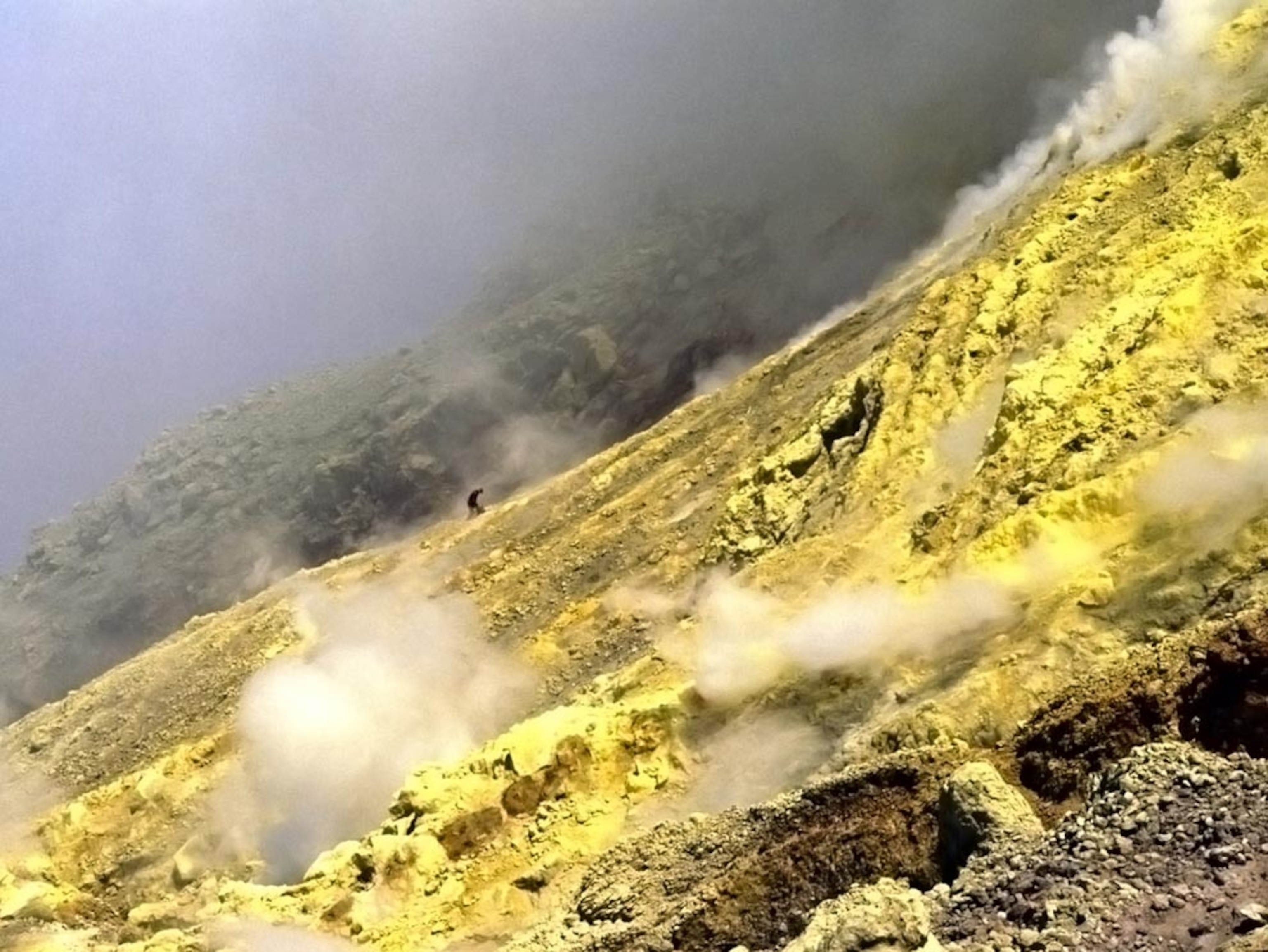 Sulfur collection