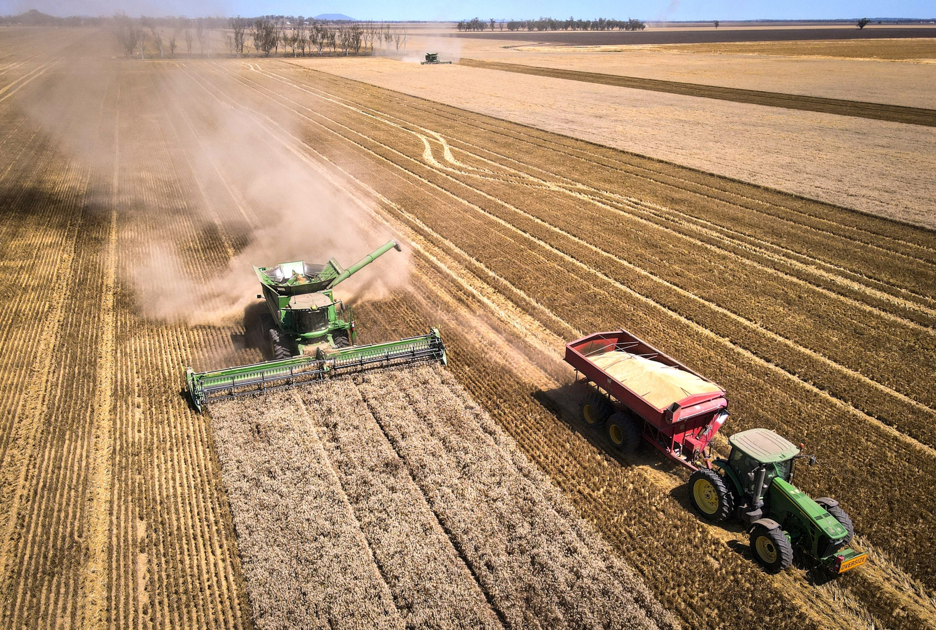 A farmer operates a combine harvester as a tractor hauls a grain cart during a harvest