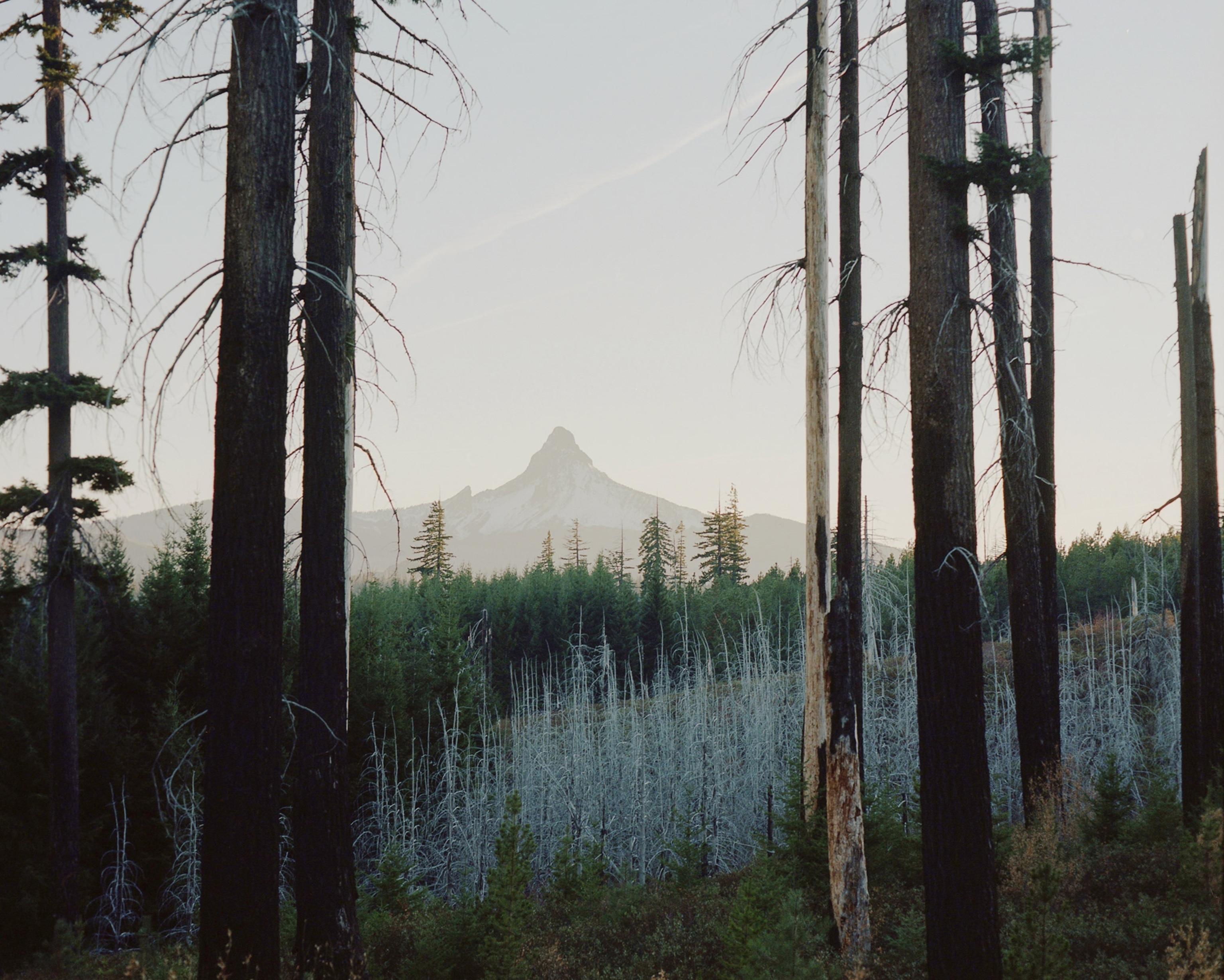 Mt. Washington, Oregon, a peak in the Central Cascades.