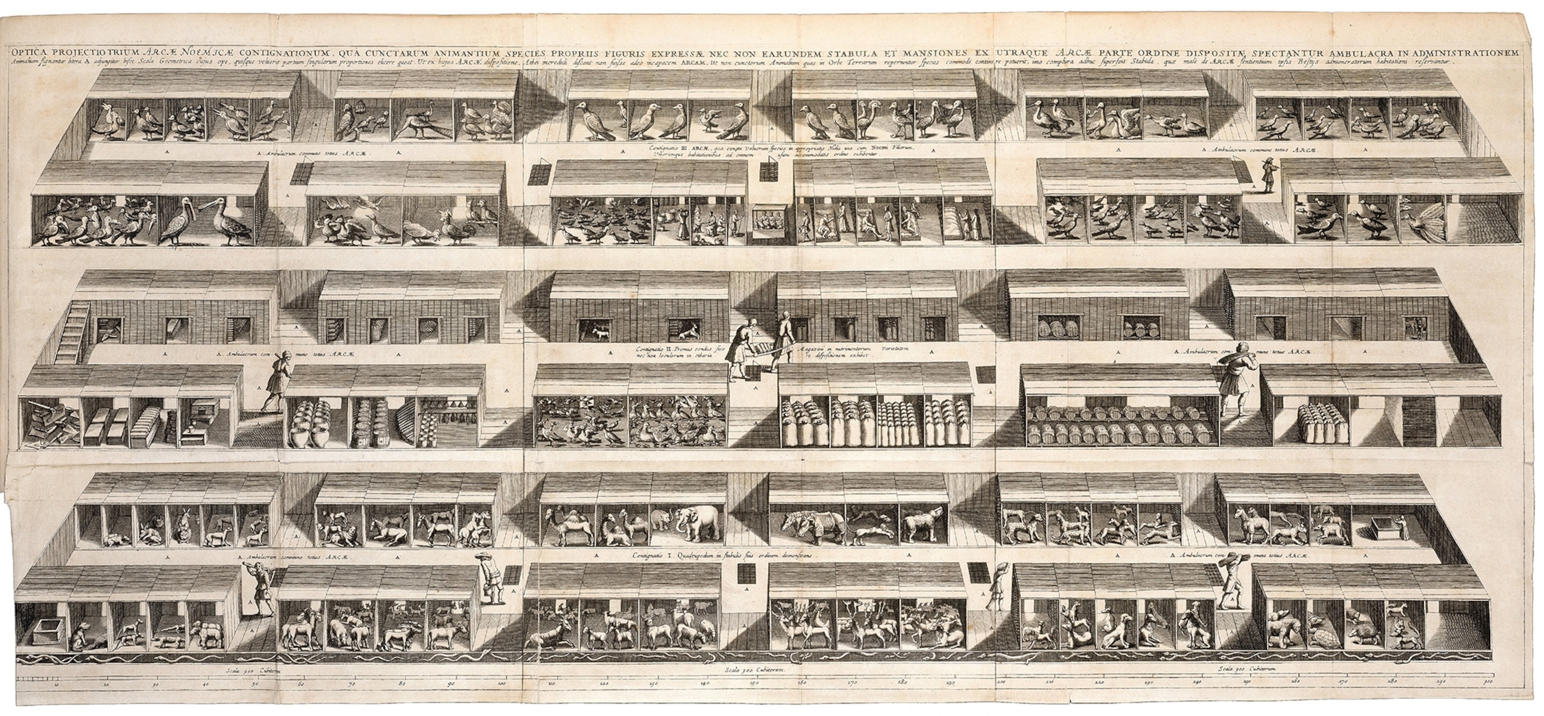 Illustration of Noah's Ark from Arca Noë.
