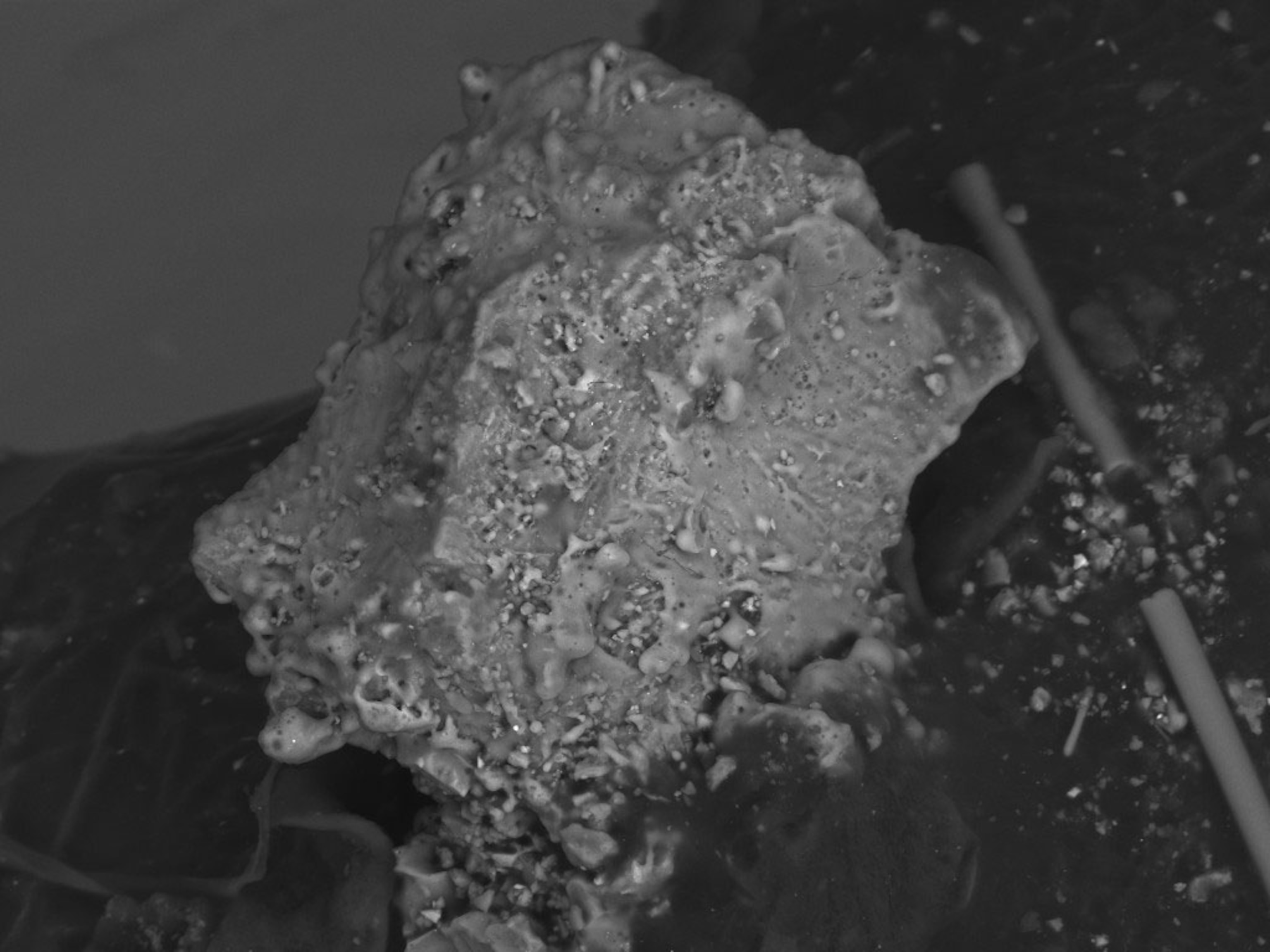 magnified lunar dust