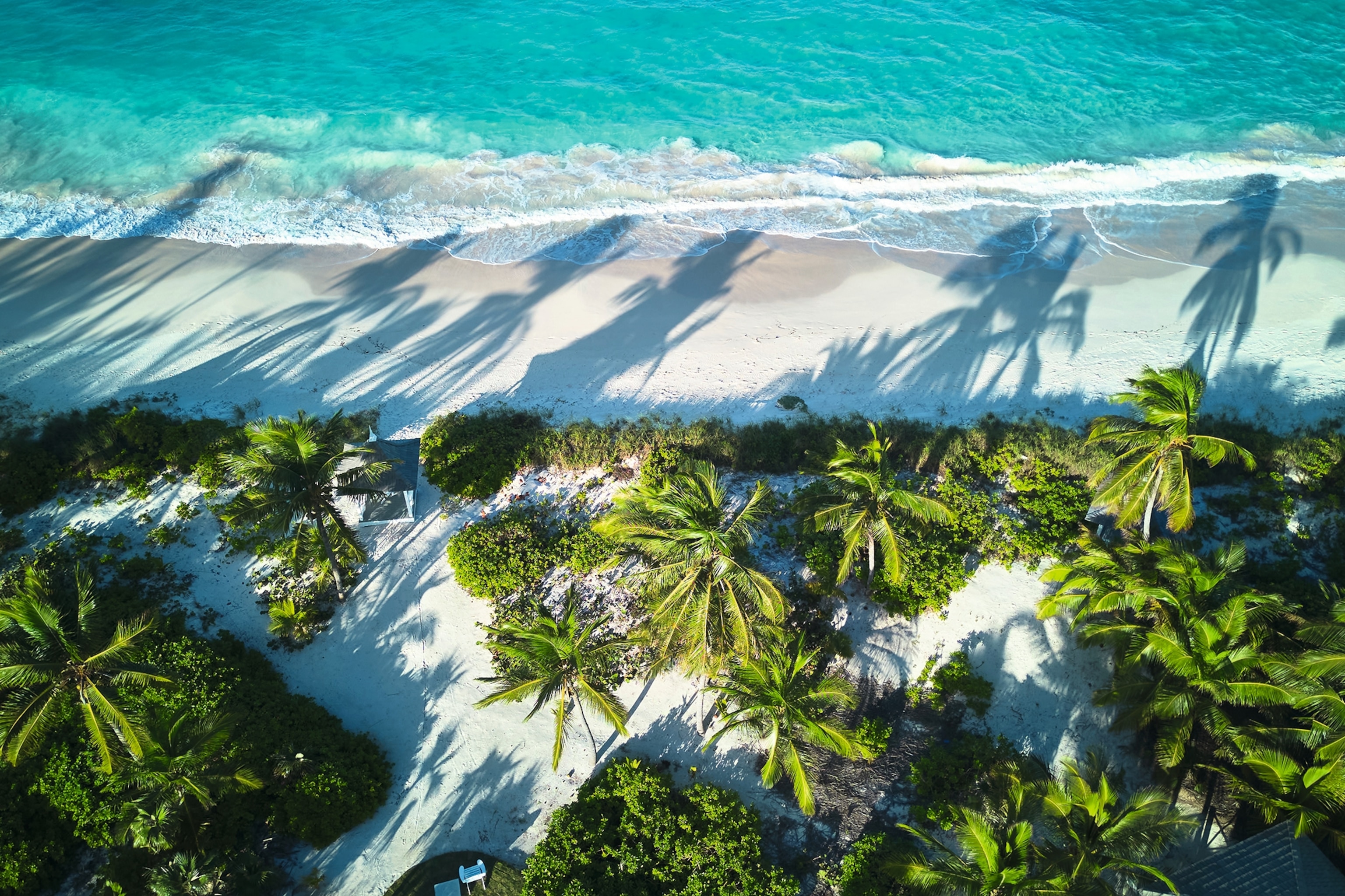 Birds eye view of white sands turquoise sea and lush green trees