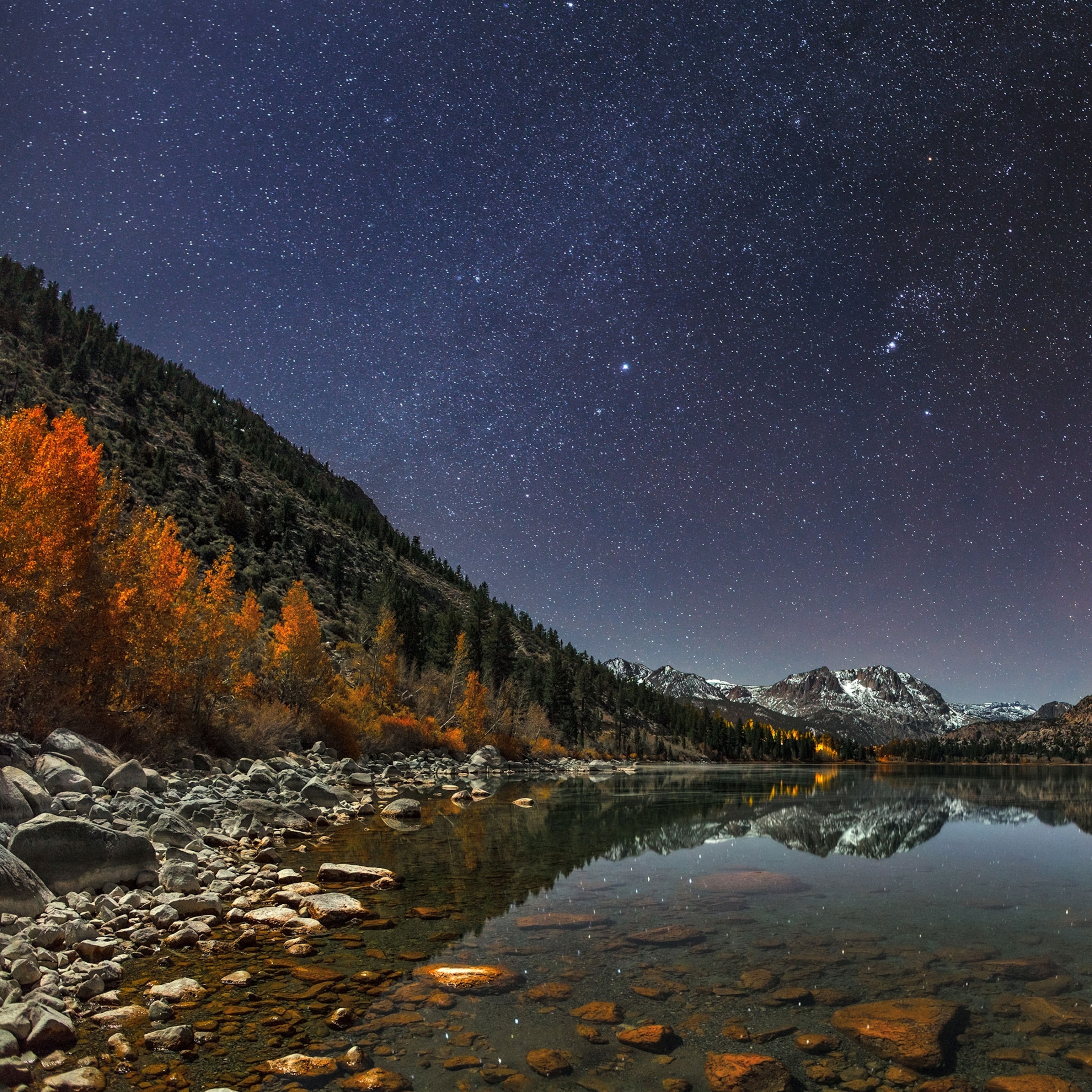the night sky