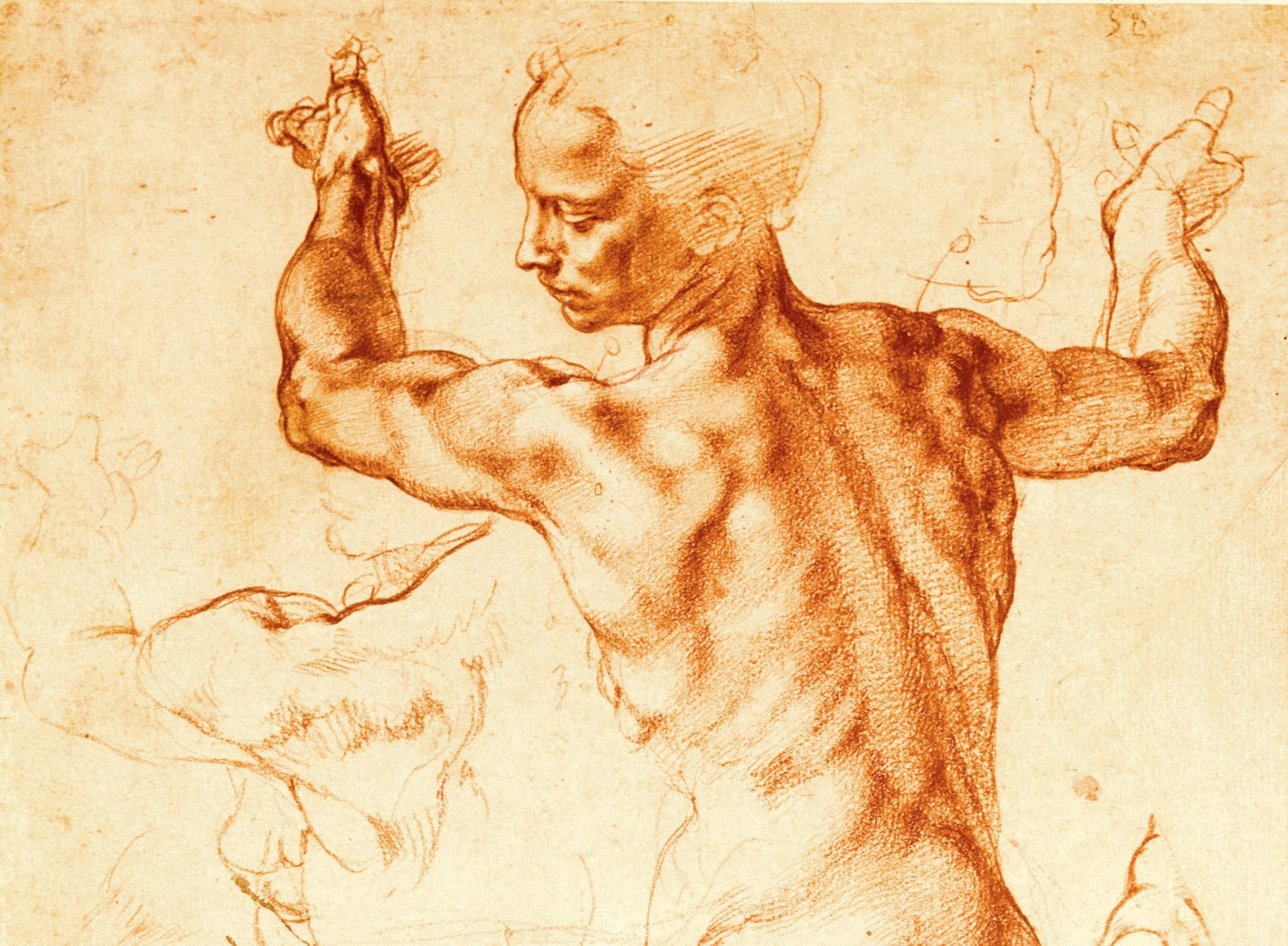 a charcoal drawing of the Libyan Sibyl by Michelangelo