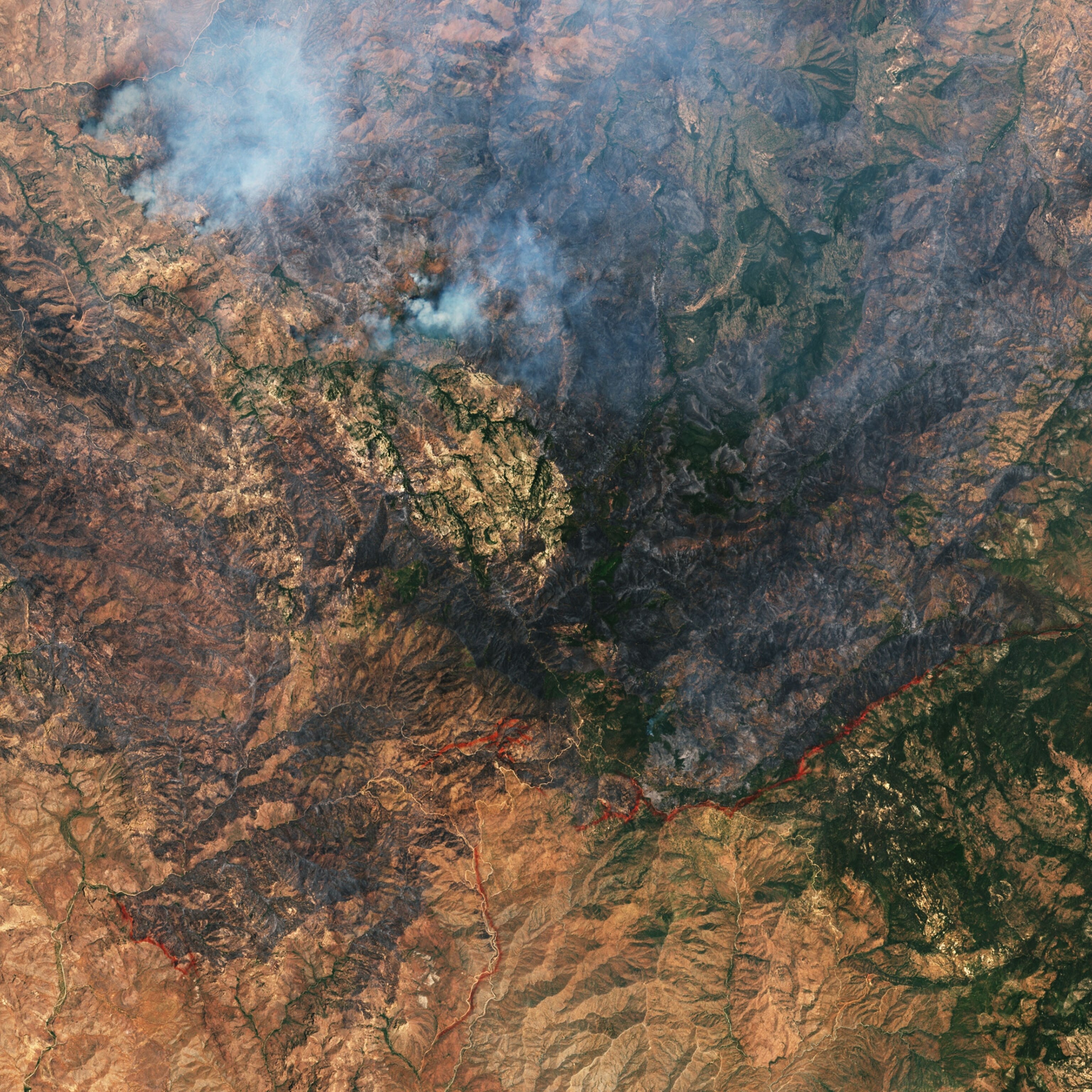 a wildfire