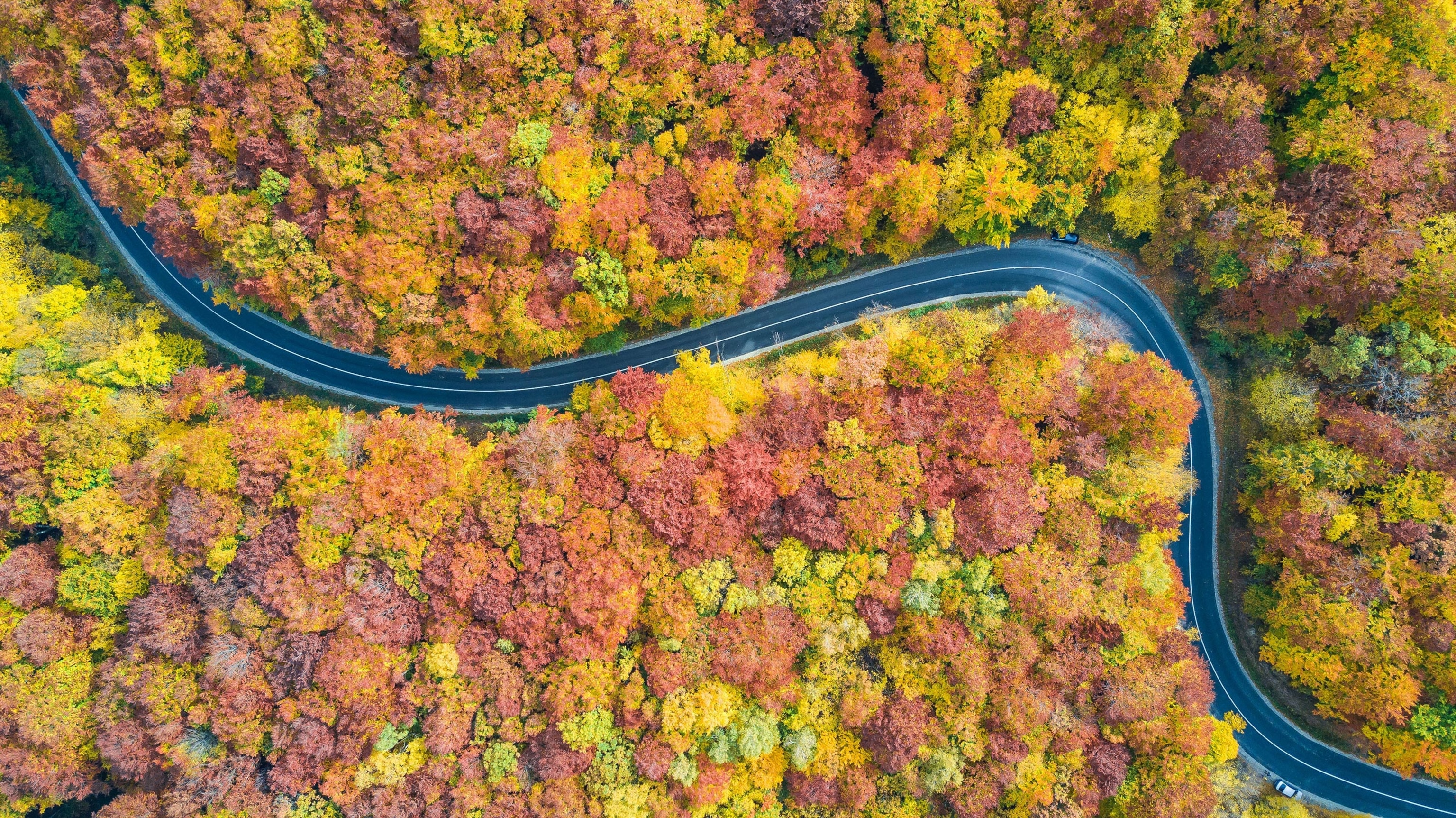 a road near Cluj-Napoca, Romania