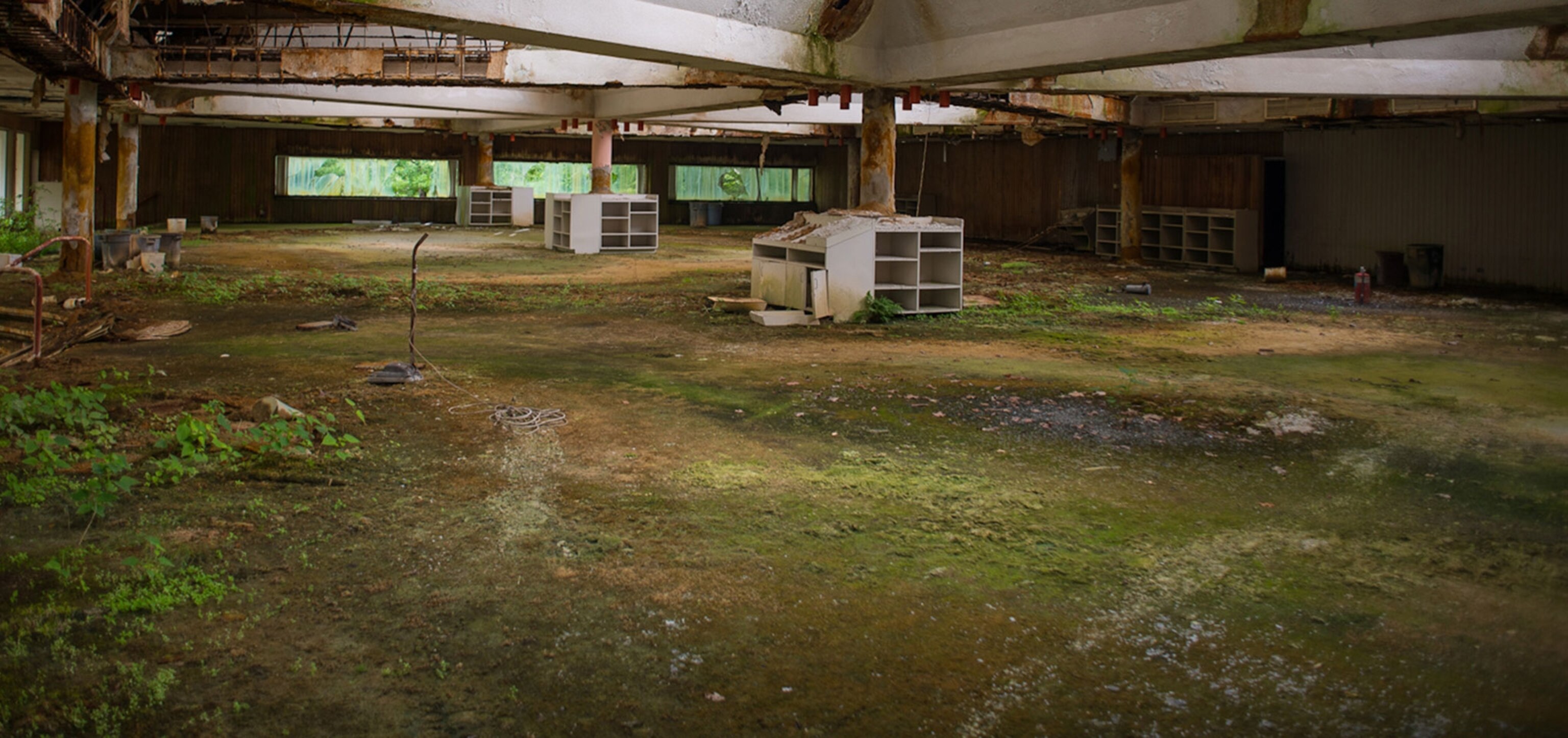 moss in a dining hall