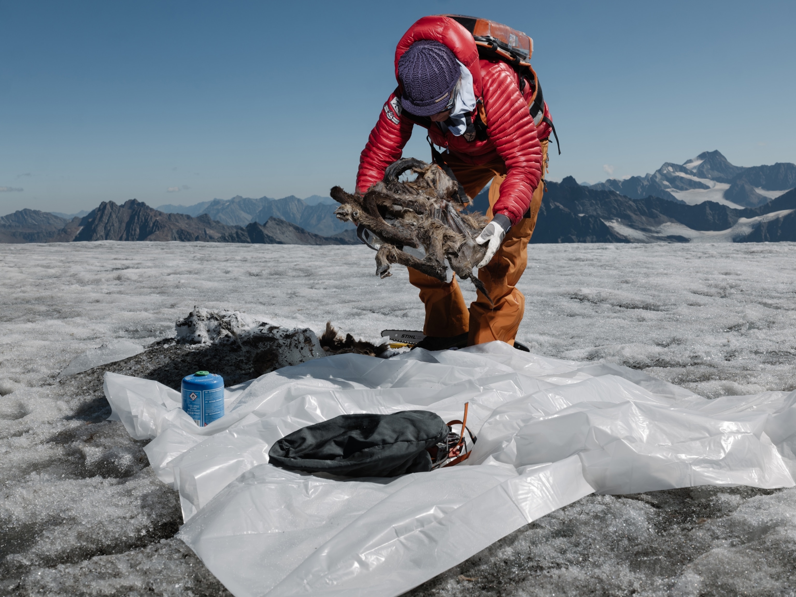 a woman in a red puffy coat picks up the frozen and decaying remains of a goat like creature frozen in a glacier