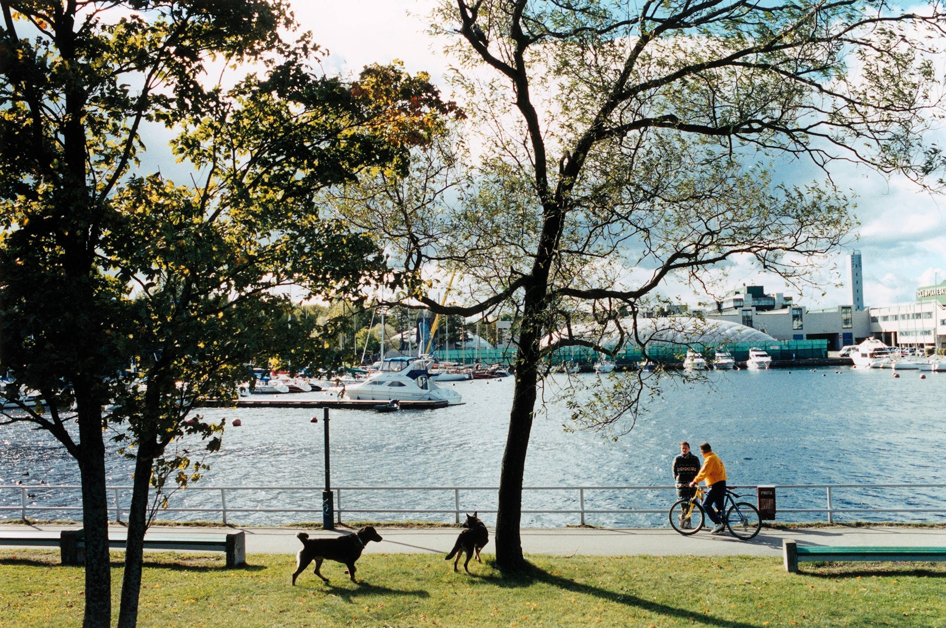 People sit and gaze on river.