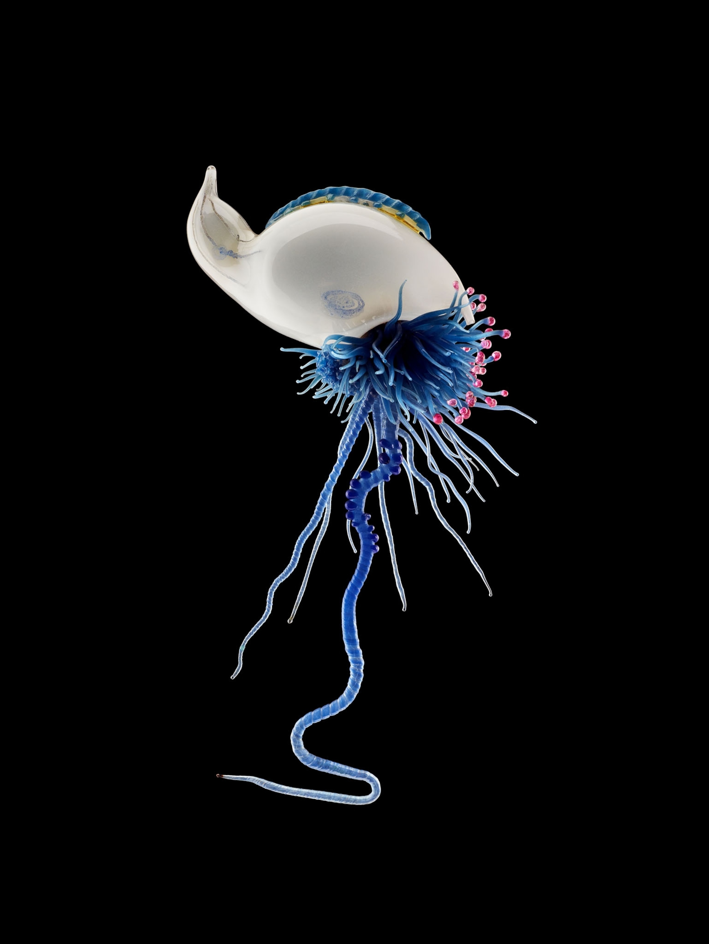 Picture of white bubble with long blue tentacles.