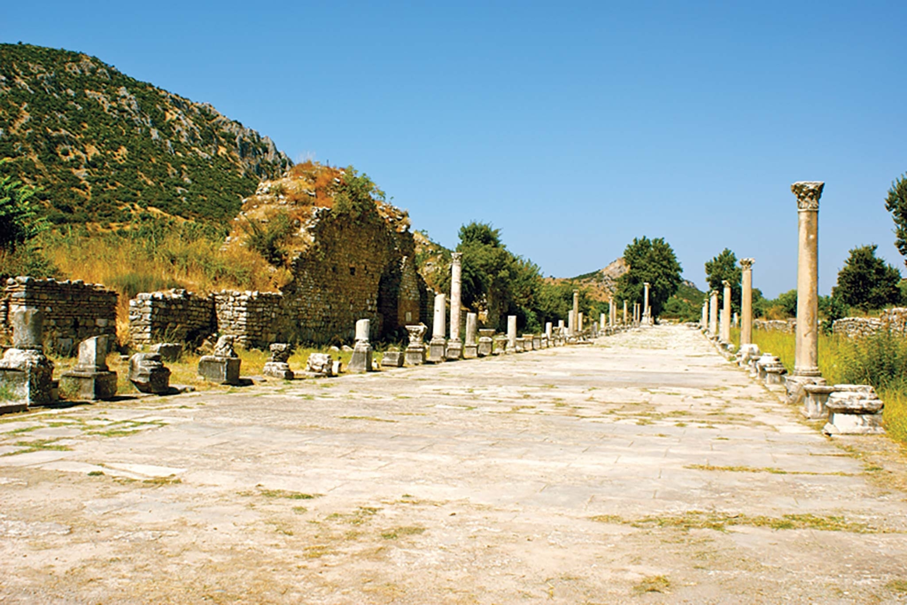 The ruins of a major ancient Roman road, Cardo Maximus