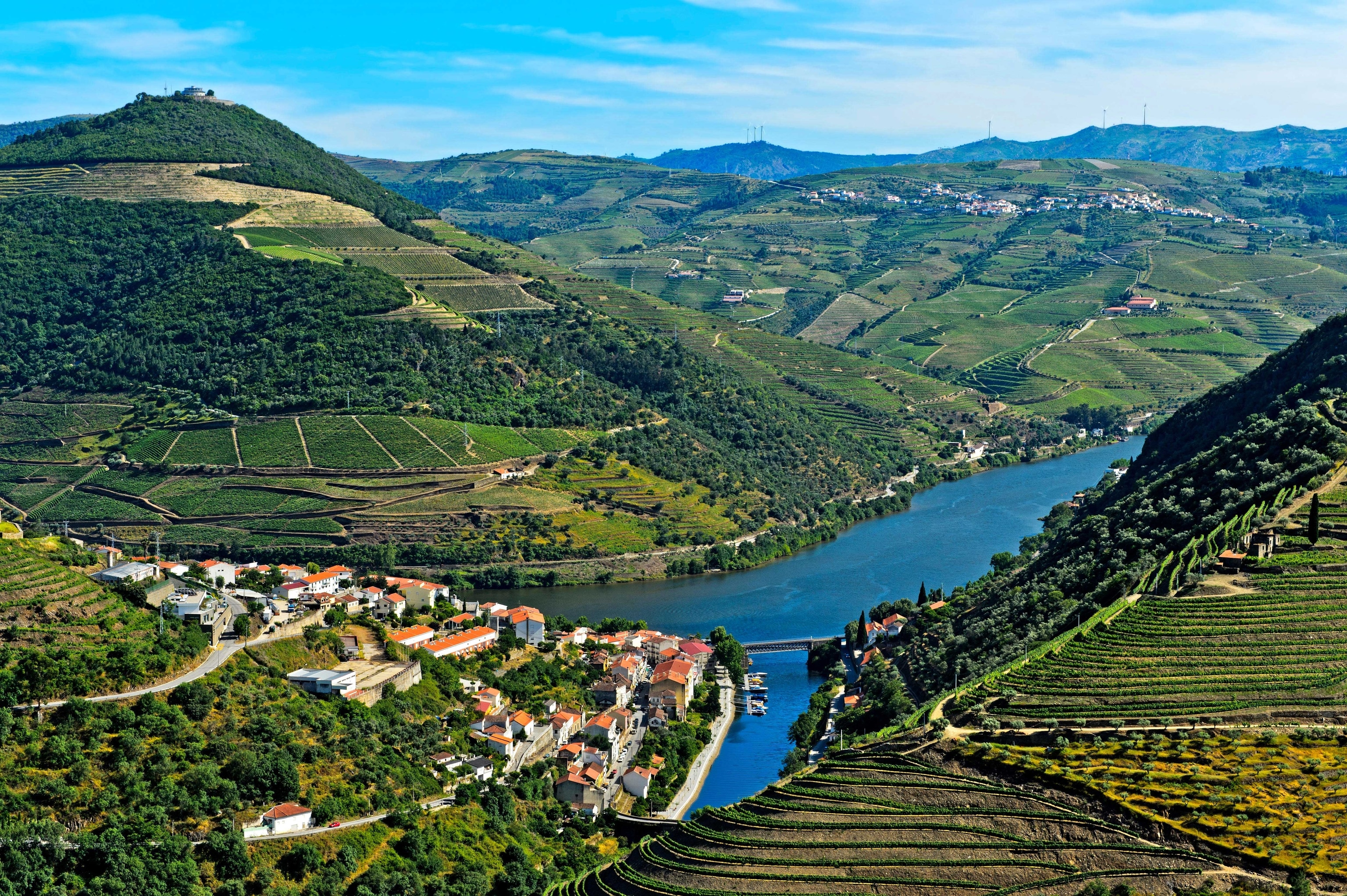 Lush green vineyards sit on the banks of a blue river, surrounded by rolling hills