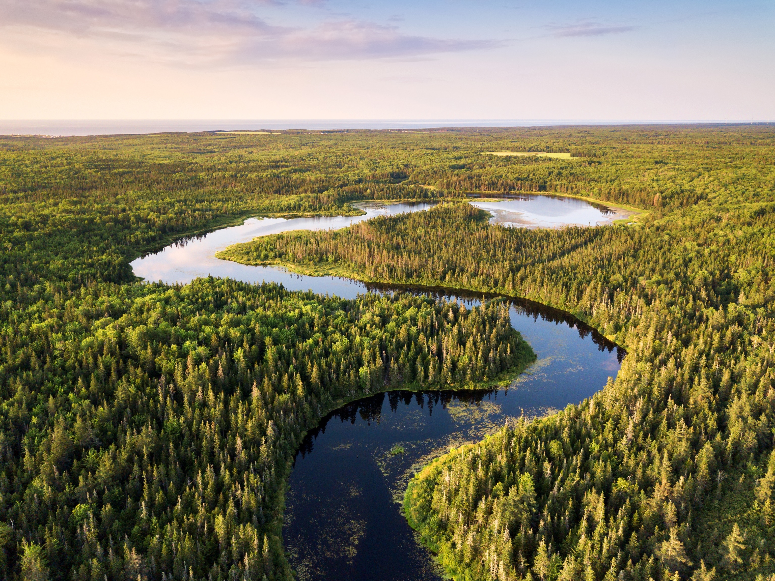 an aerial view of Selkirk