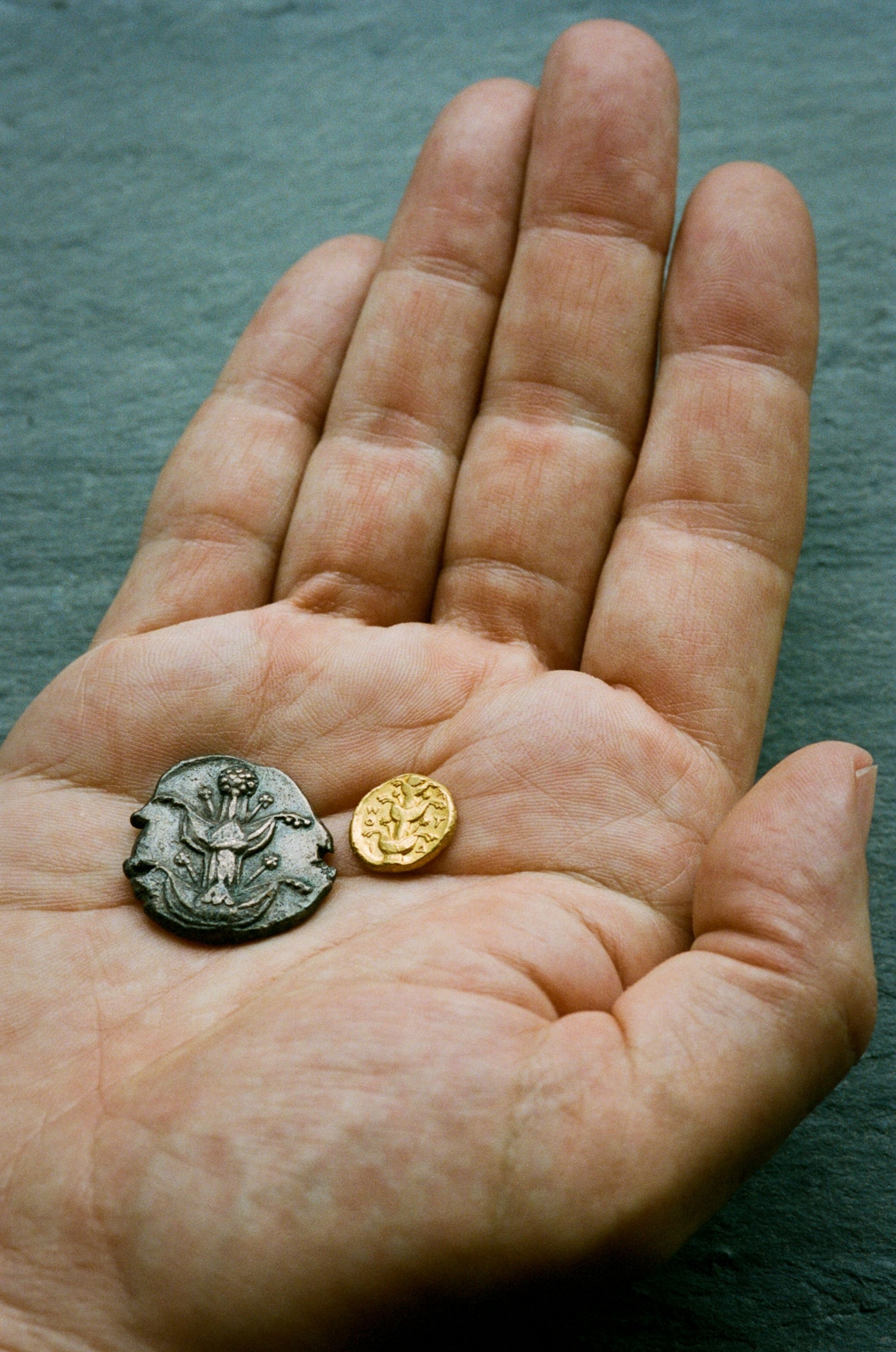 a hand holding two spall coins from 400 BC depicting an image of a plant