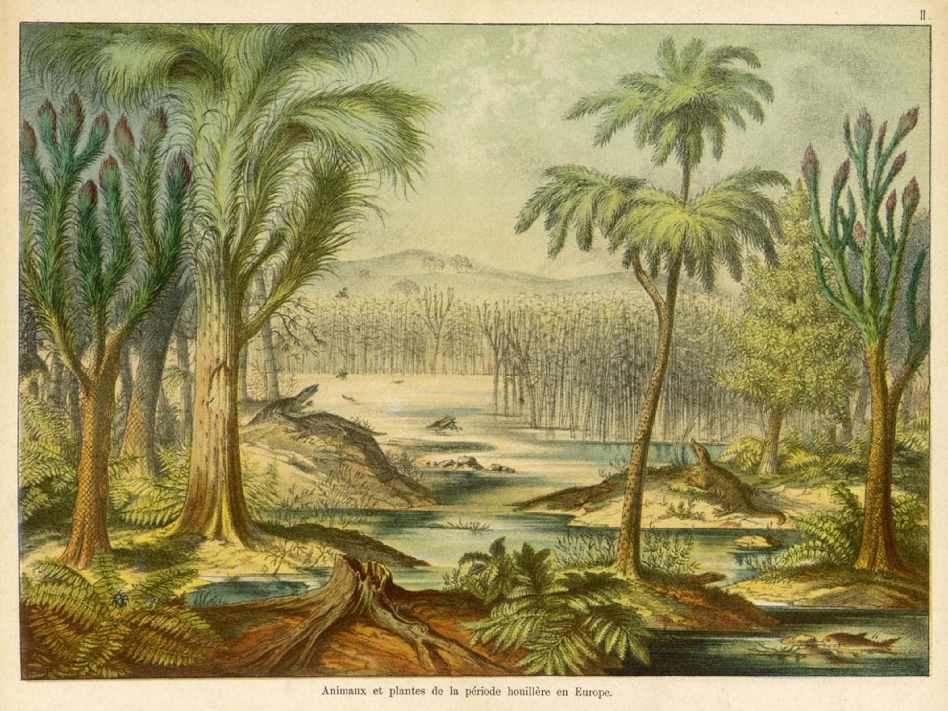 Image: Artist rendering of Carboniferous forests.